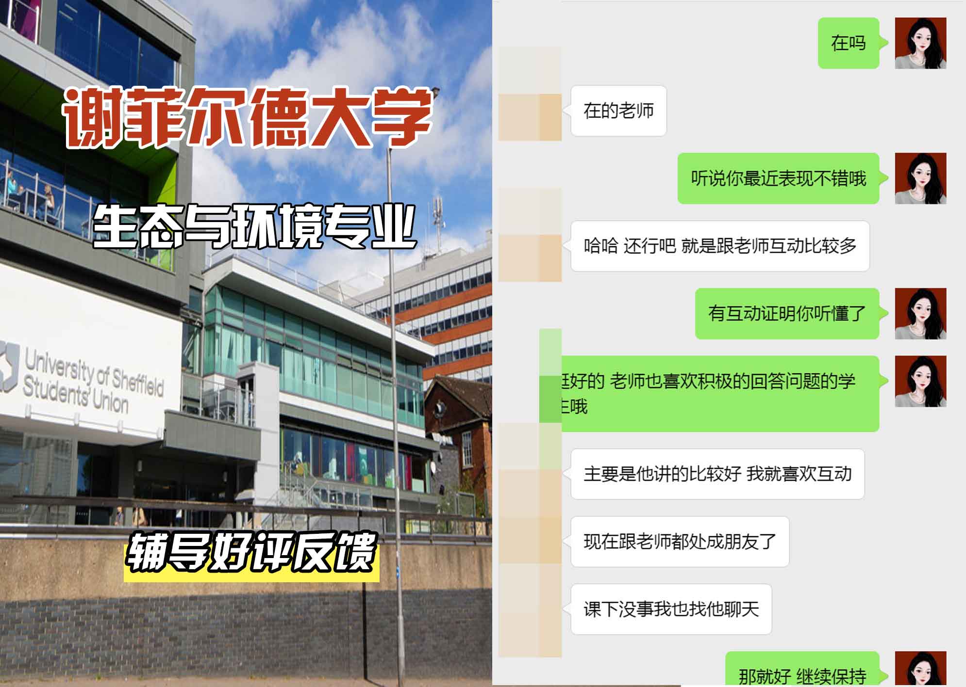 谢菲尔德大学谢大生态与环境辅导好评反馈
