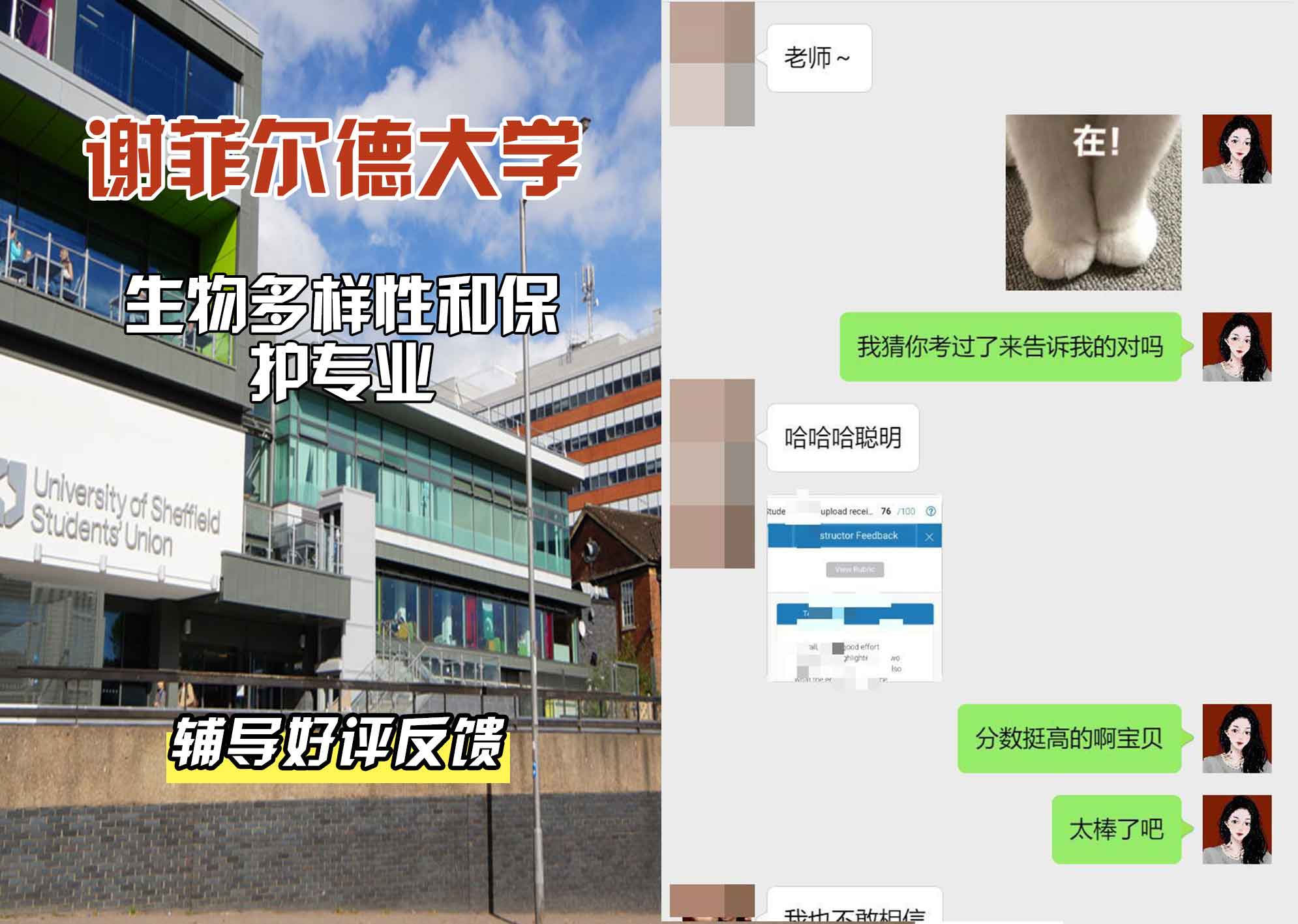 谢菲尔德大学谢大生物多样性和保护辅导好评反馈