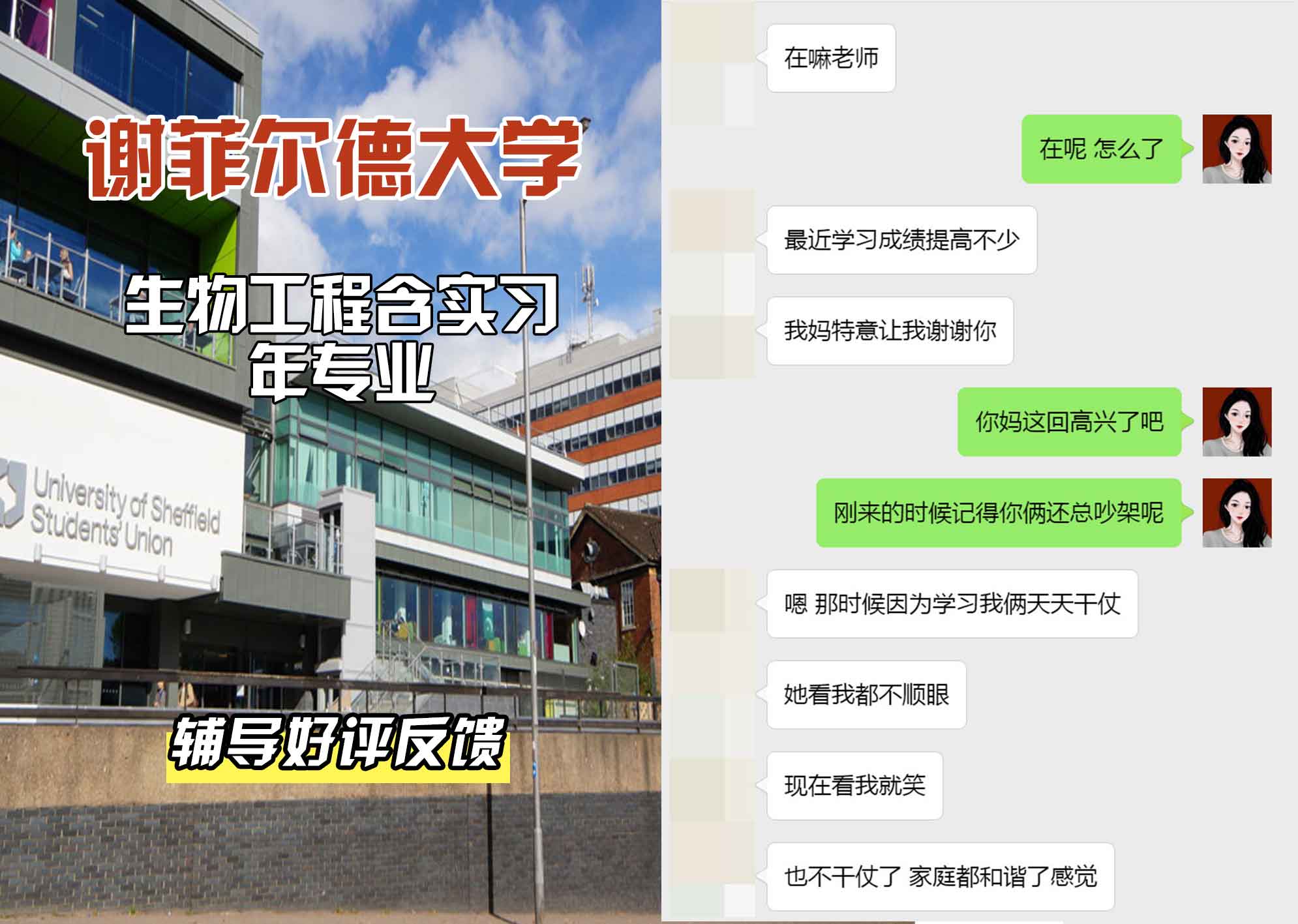 谢菲尔德大学谢大生物工程含实习年辅导好评反馈