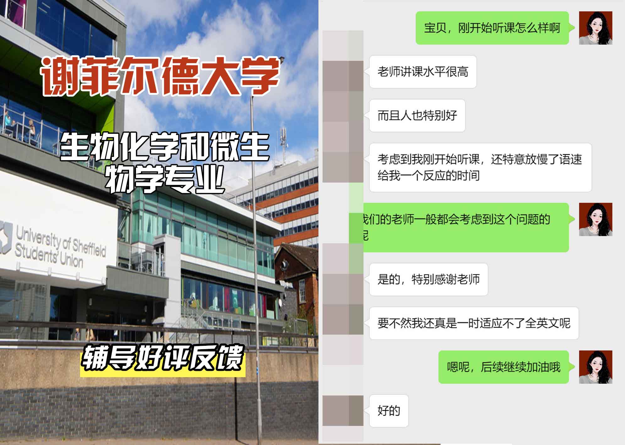 谢菲尔德大学谢大生物化学和微生物学辅导好评反馈