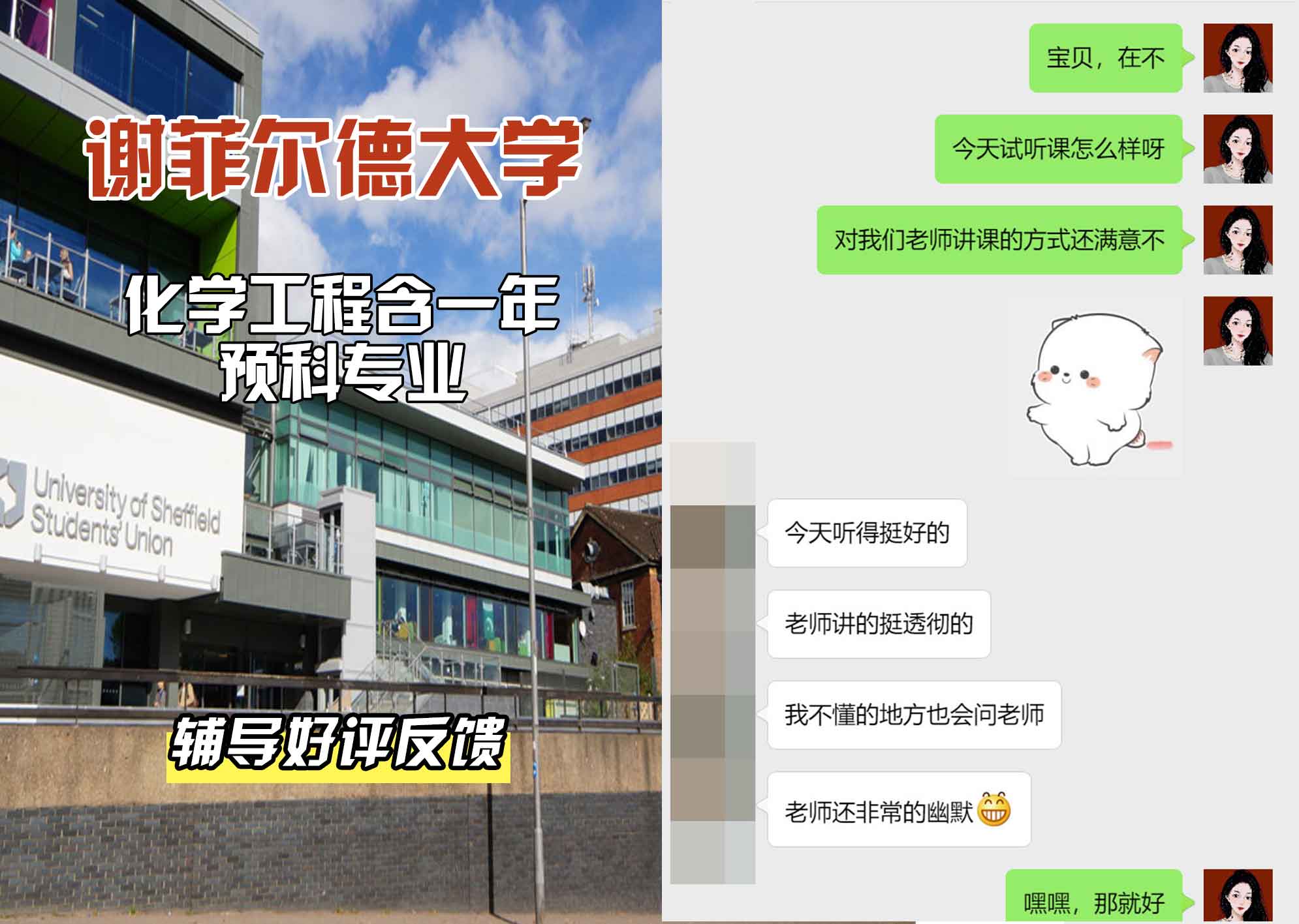 谢菲尔德大学谢大基础年化学工程含一年预科辅导好评反馈