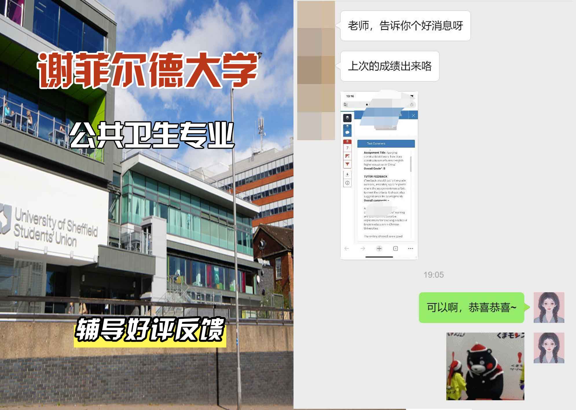 谢菲尔德大学谢大欧洲公共卫生辅导好评反馈