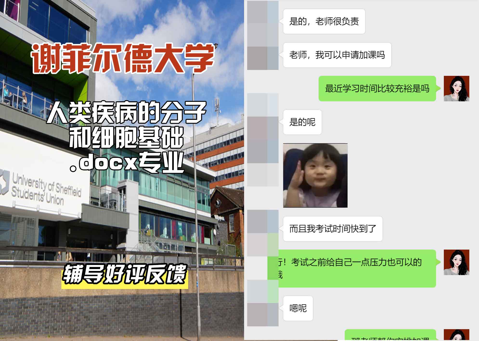 谢菲尔德大学谢大疾病的分子和细胞基础辅导好评反馈