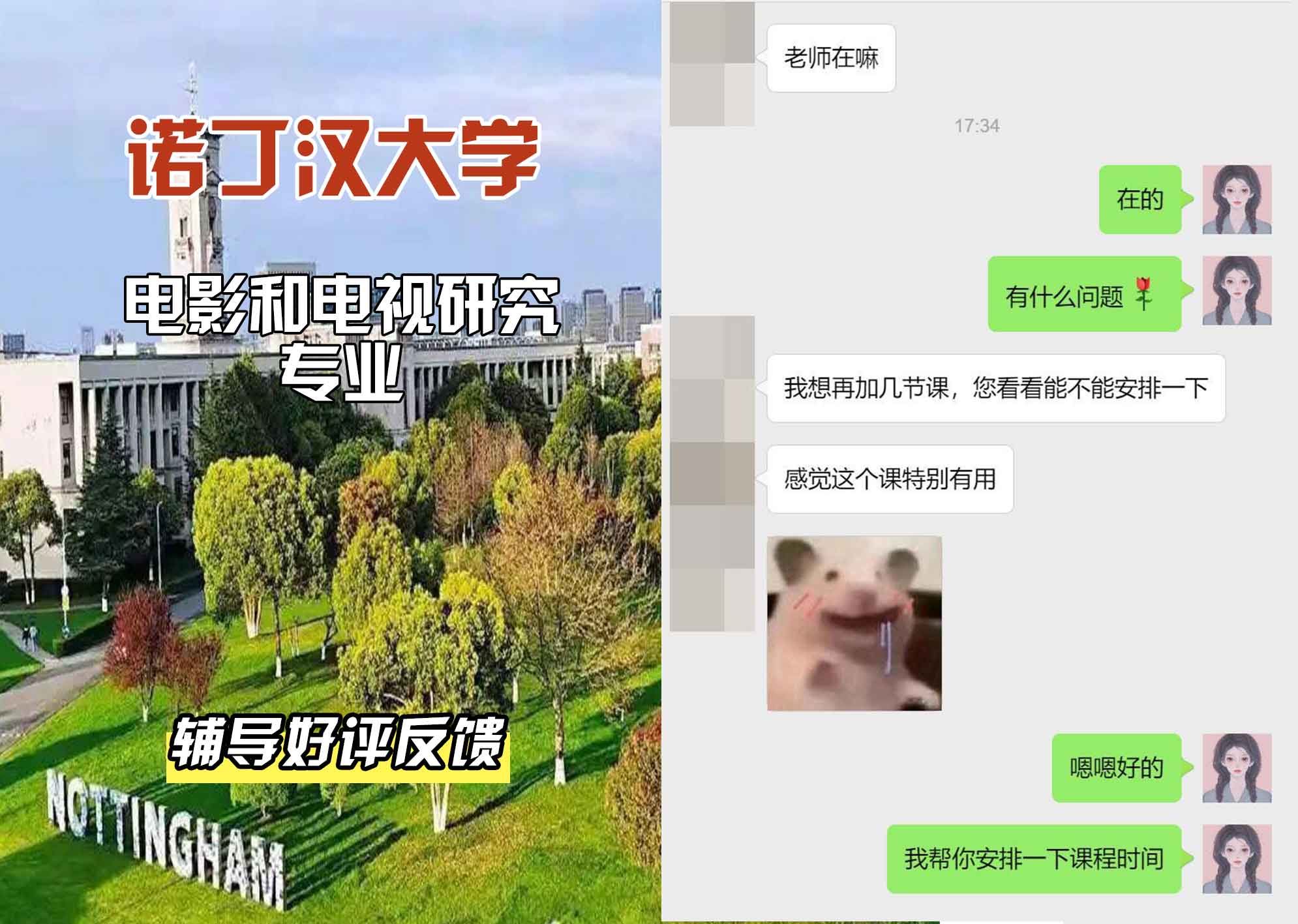 诺丁汉大学诺大电影和电视研究学辅导好评反馈