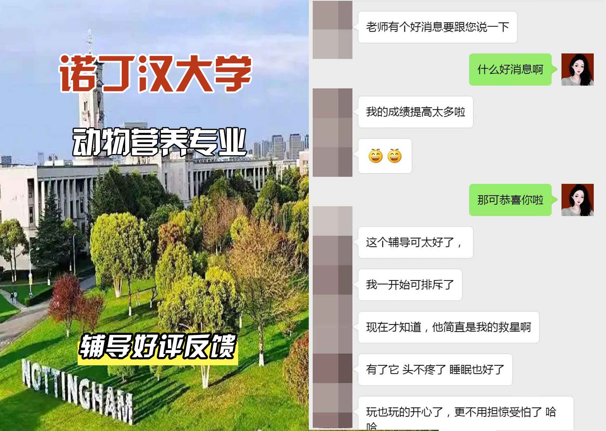 诺丁汉大学诺大动物营养辅导好评反馈