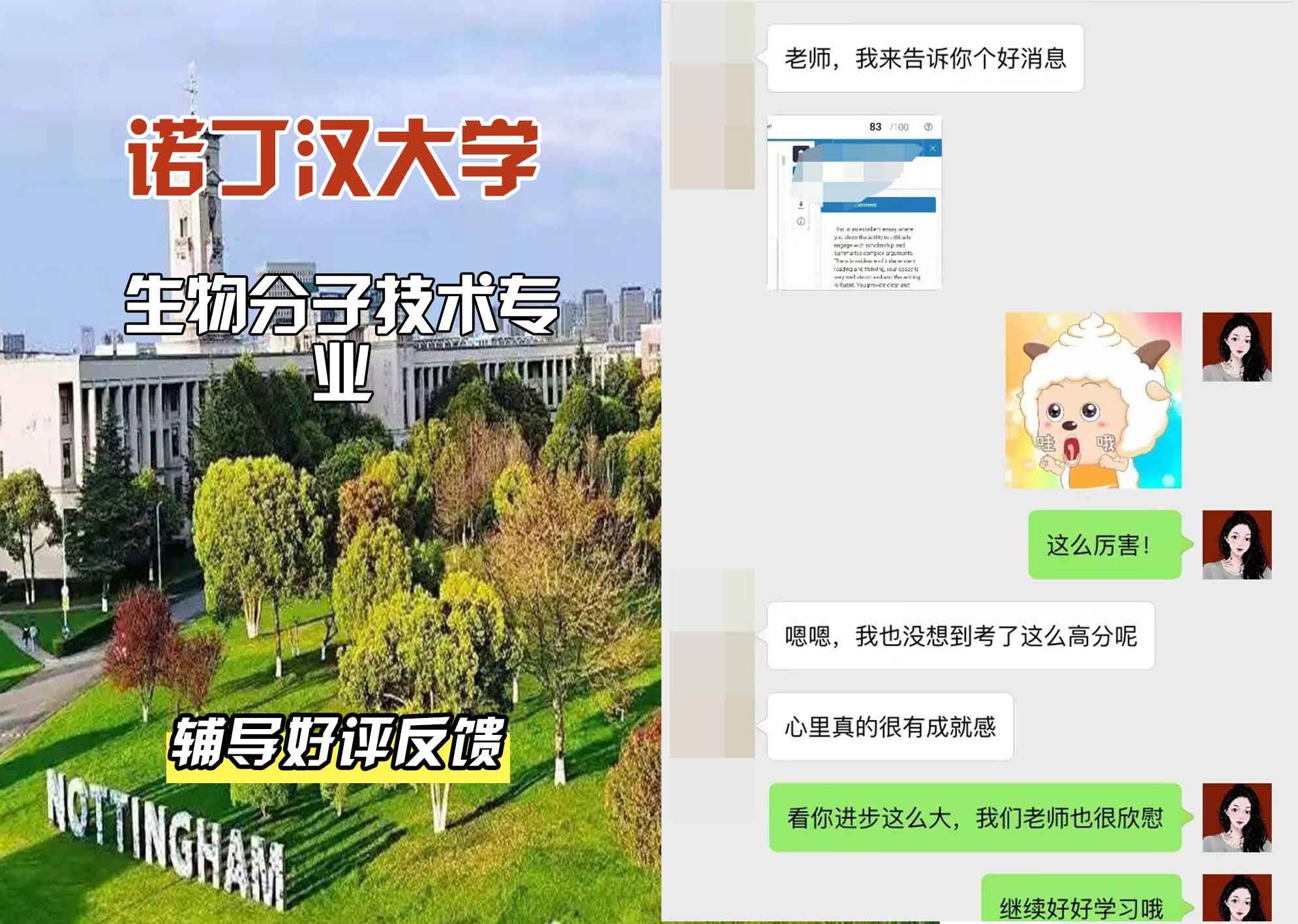 诺丁汉大学诺大生物分子技术辅导好评反馈