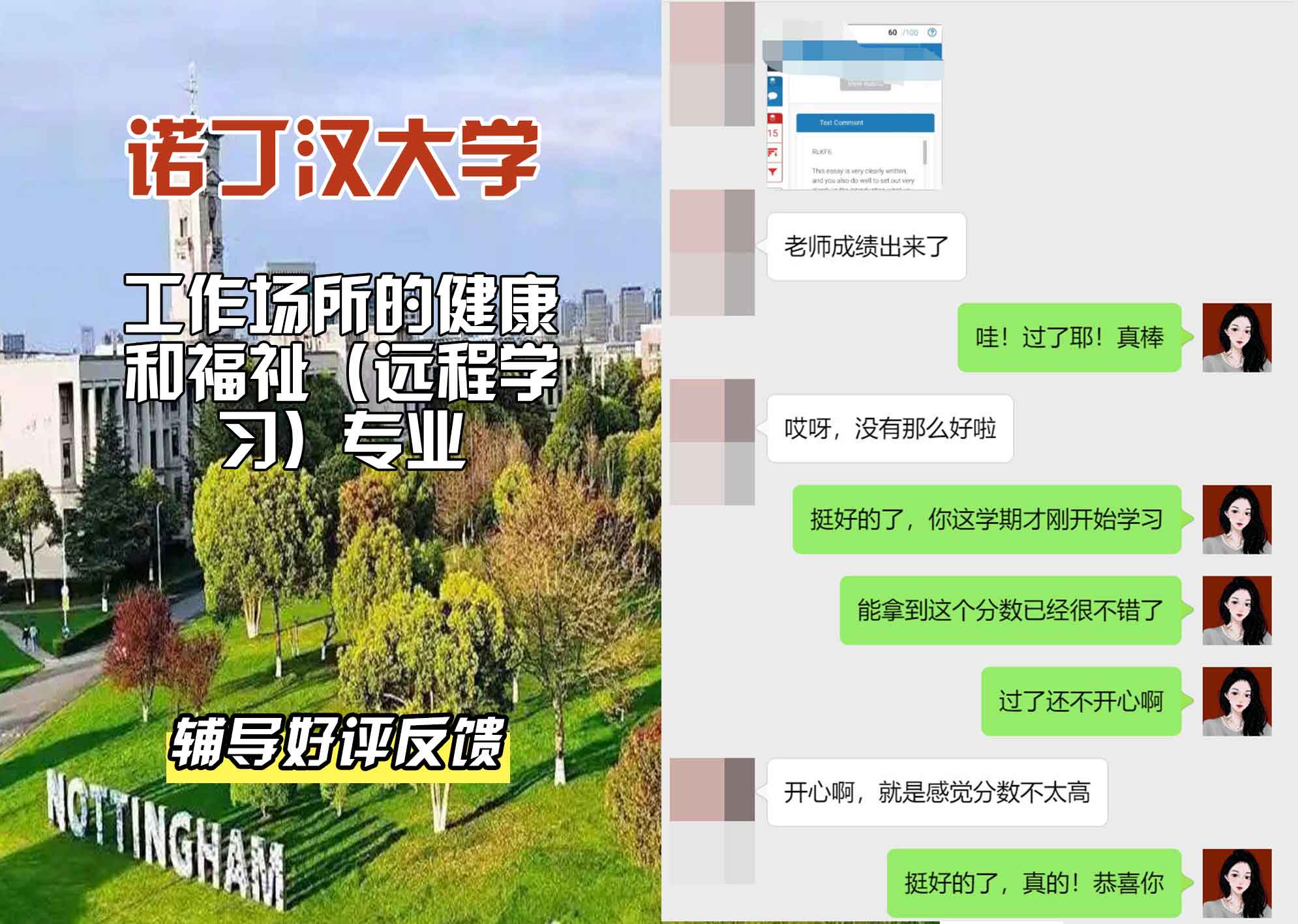 诺丁汉大学诺大工作场所健康与福祉（远程学习）辅导好评反馈