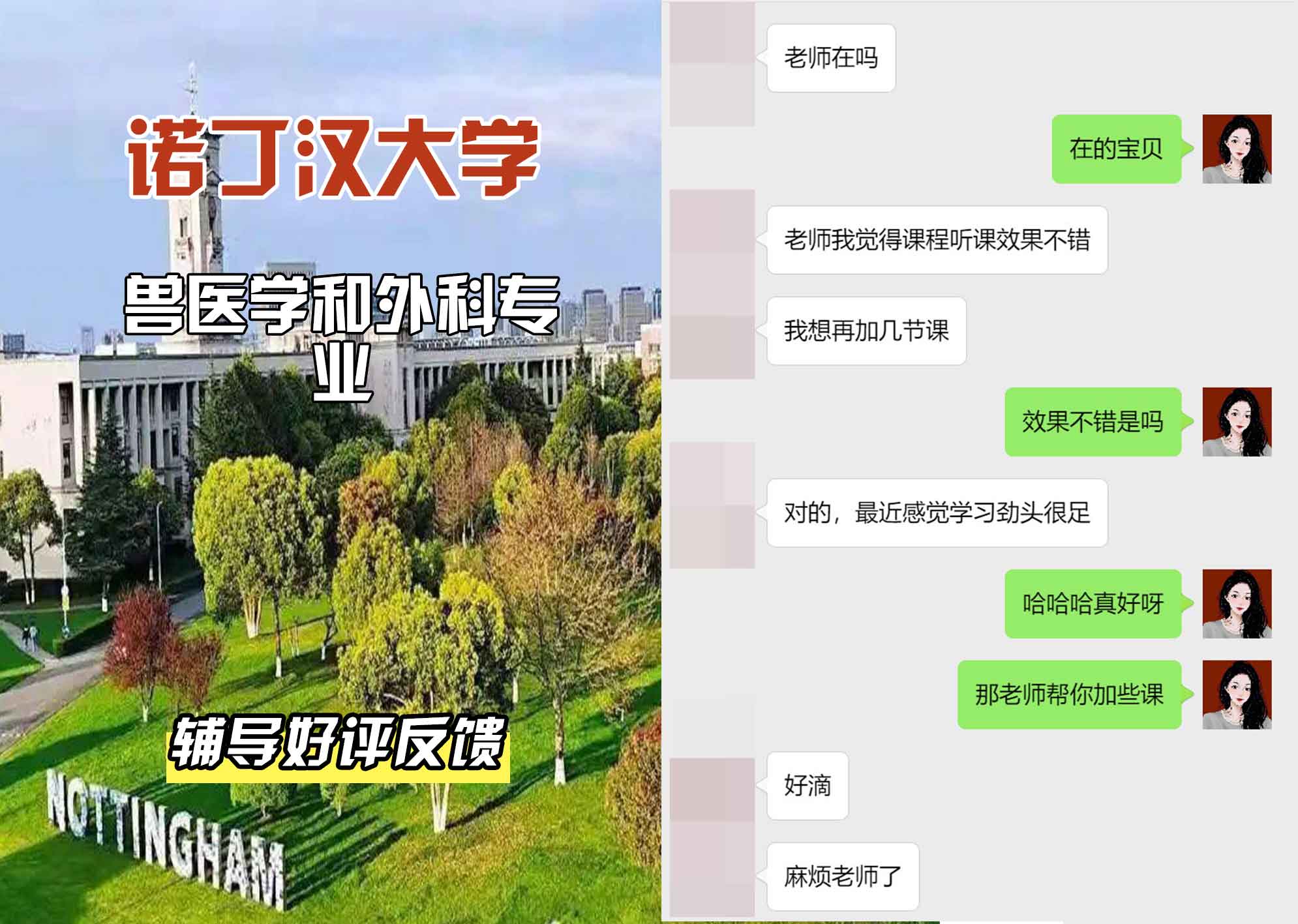 诺丁汉大学诺大兽医学/外科辅导好评反馈