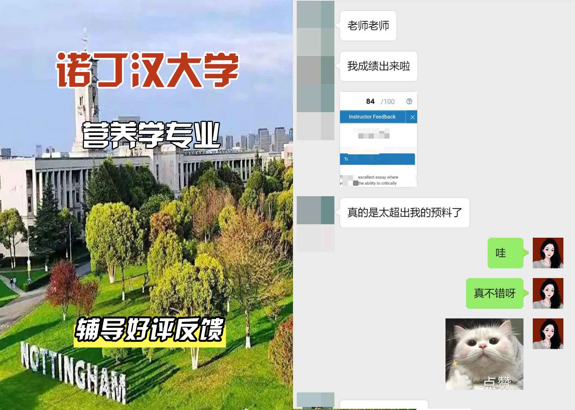 诺丁汉大学诺大营养学辅导好评反馈