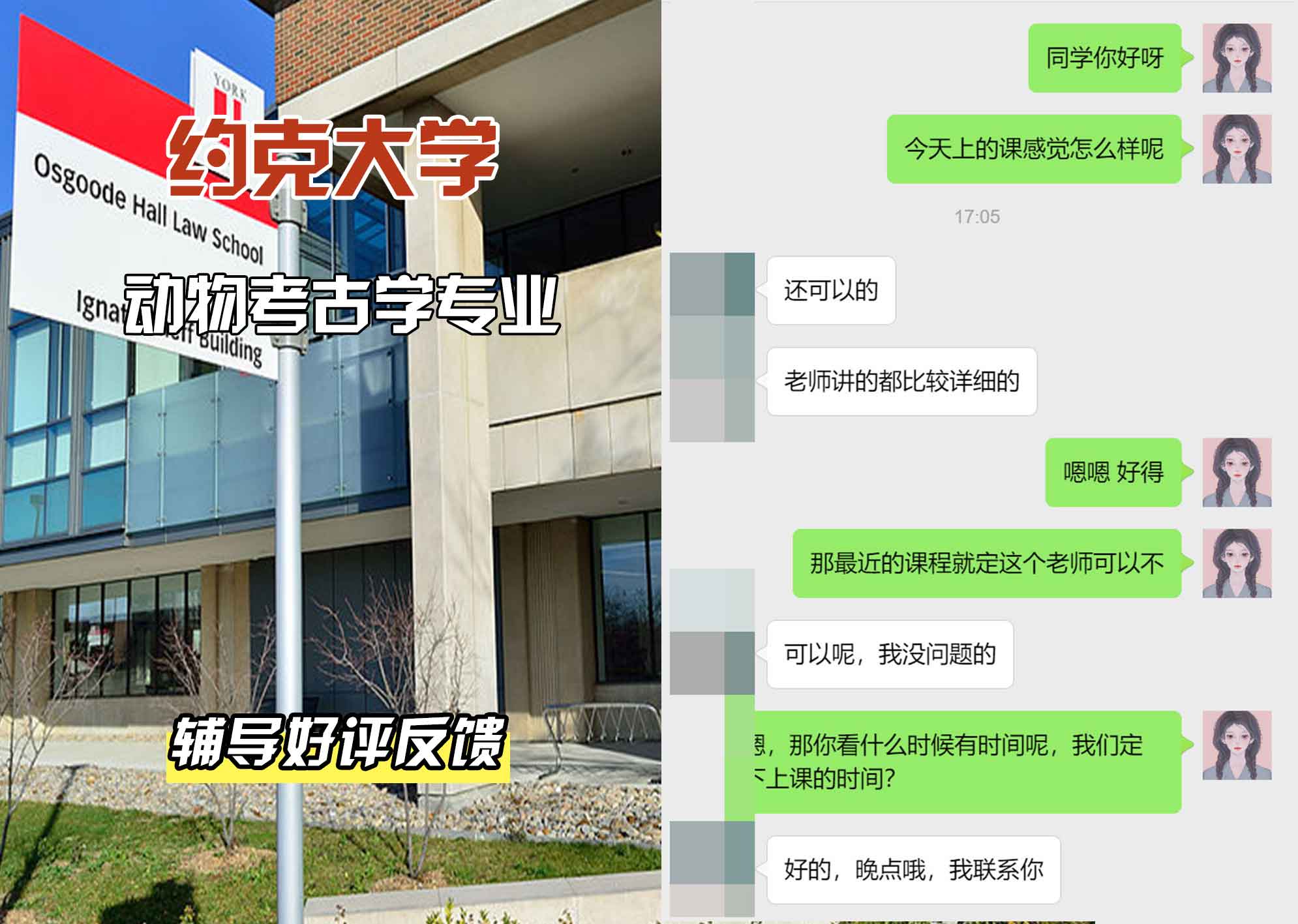 约克大学UOY动物考古学辅导好评反馈