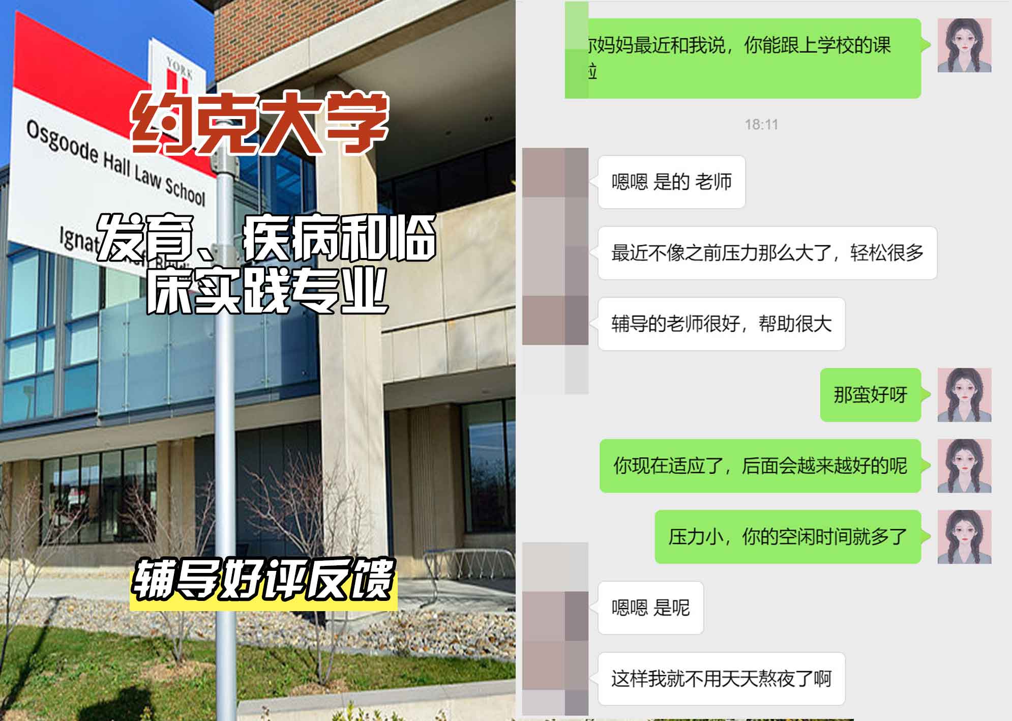 约克大学UOY发育、疾病和临床实践辅导好评反馈