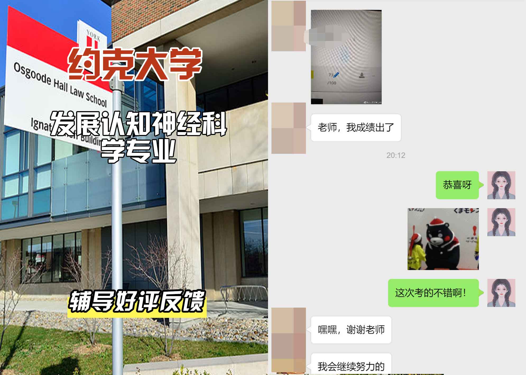 约克大学UOY发展认知神经科学辅导好评反馈