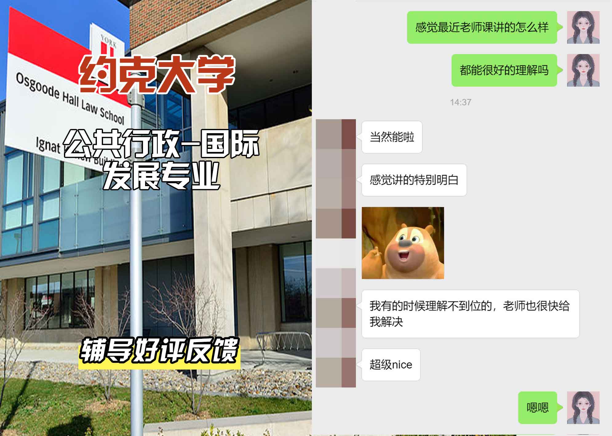 约克大学UOY公共行政-国际发展辅导好评反馈