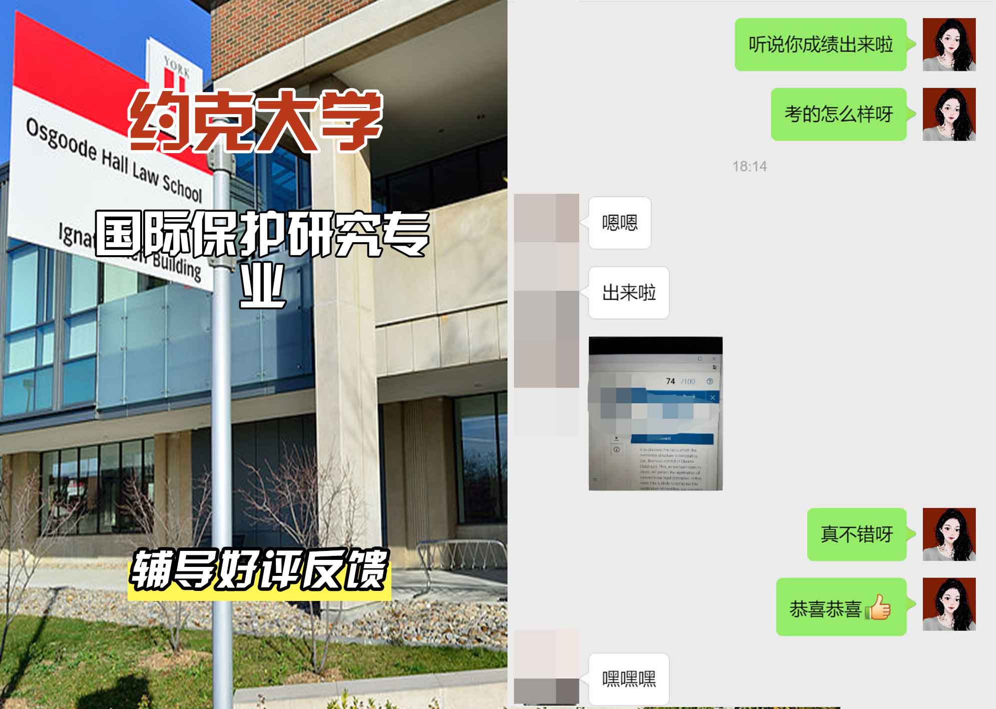 约克大学UOY国际保护研究辅导好评反馈
