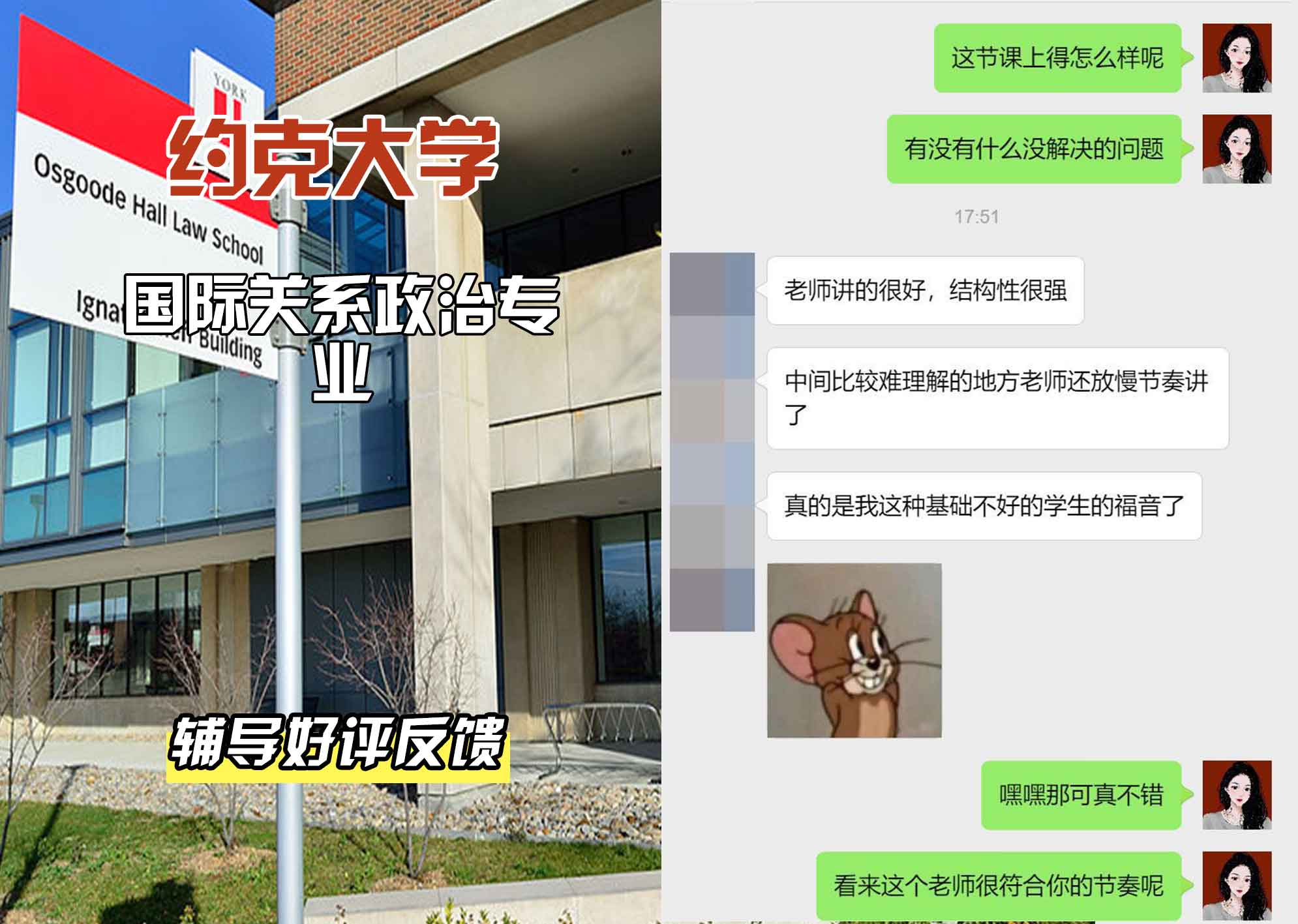 约克大学UOY国际关系政治辅导好评反馈