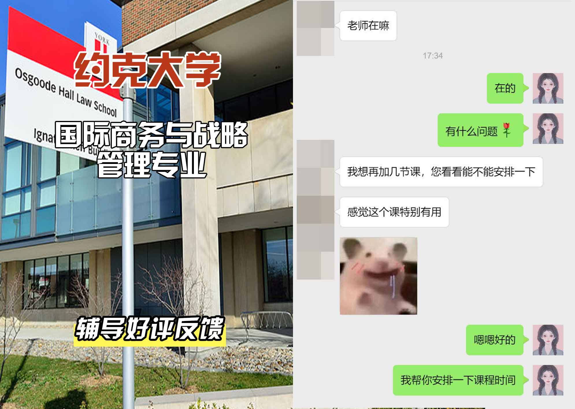 约克大学UOY国际商务与战略管理辅导好评反馈