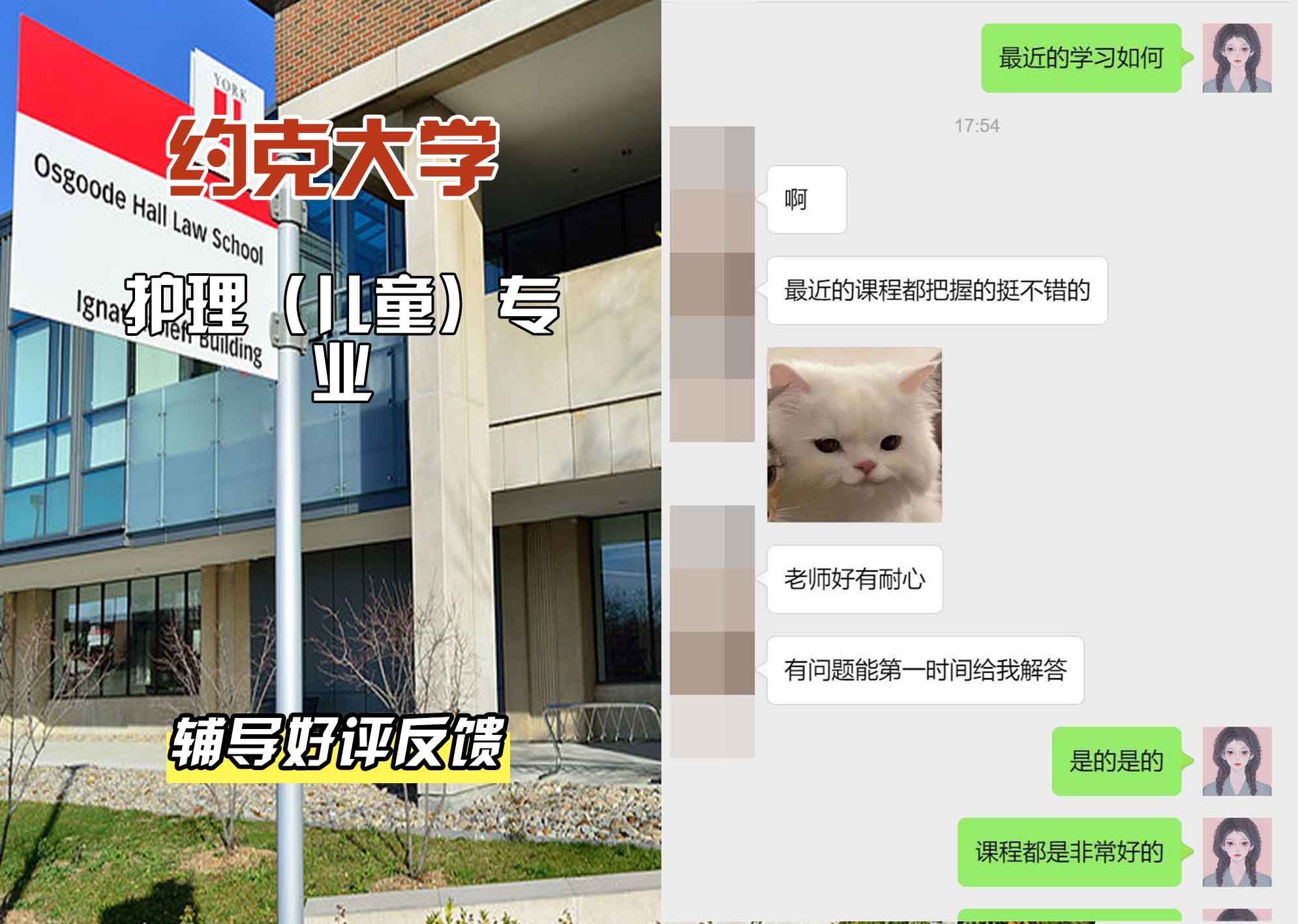 约克大学UOY护理（儿童）辅导好评反馈