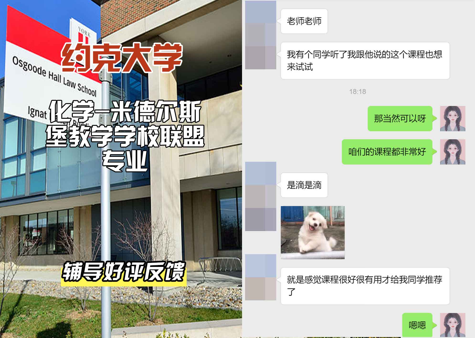 约克大学UOY化学-米德尔斯堡教学学校联盟辅导好评反馈