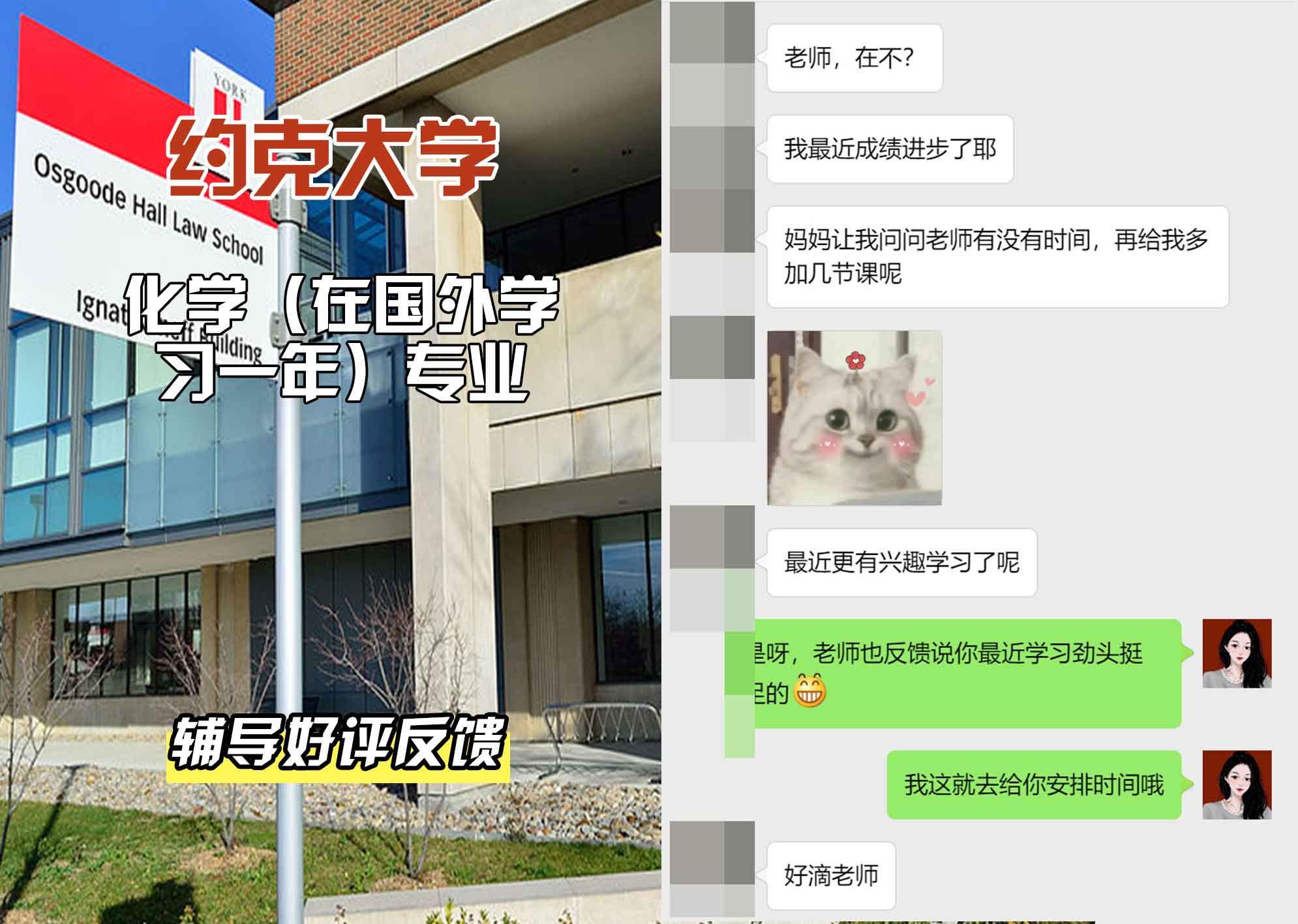 约克大学UOY化学（在国外学习一年）辅导好评反馈