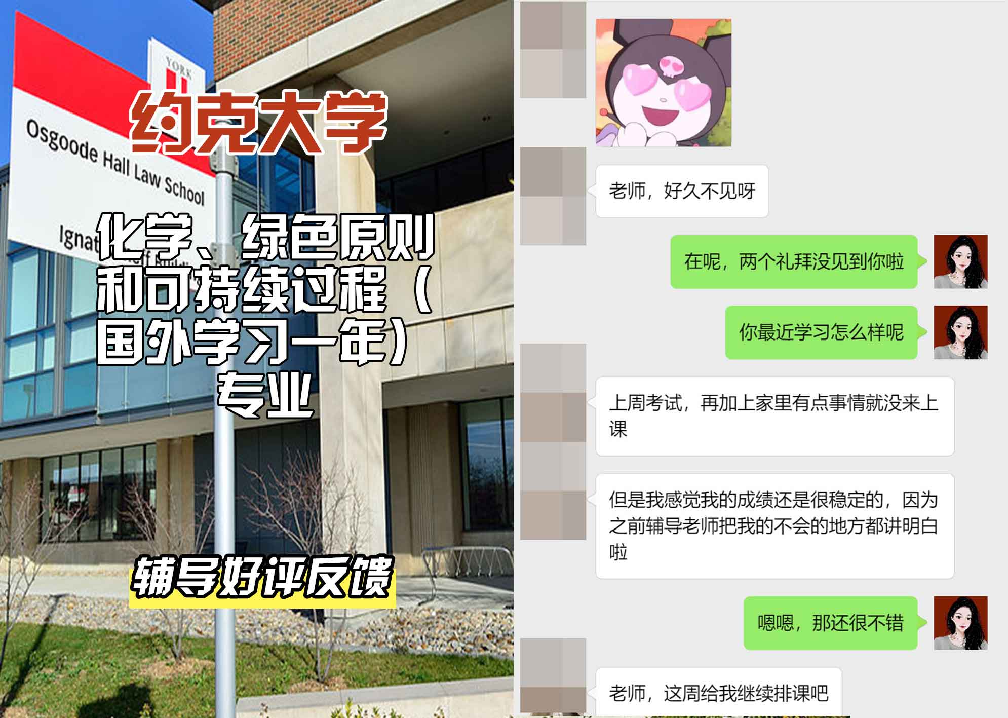 约克大学UOY化学、绿色原则和可持续过程（国外学习一年）辅导好评反馈