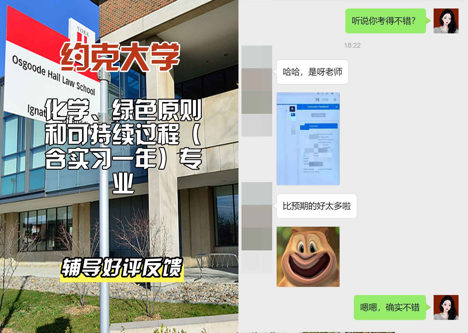 约克大学UOY化学、绿色原则和可持续过程（含实习一年）辅导好评反馈
