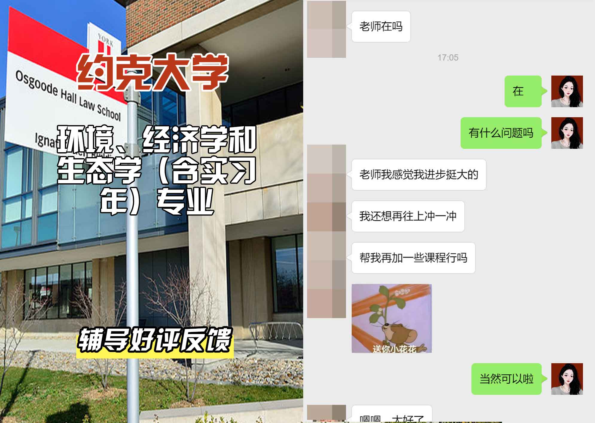 约克大学UOY环境、经济学和生态学（含实习年）辅导好评反馈