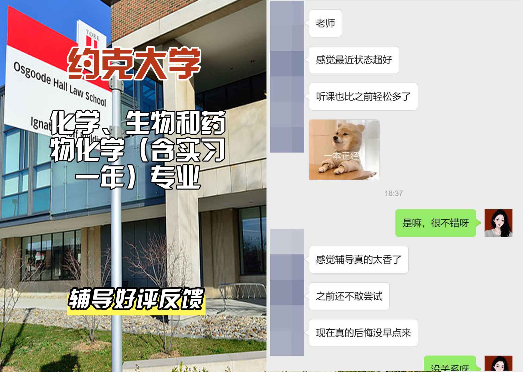 约克大学UOY化学、生物和药物化学（含实习一年）辅导好评反馈