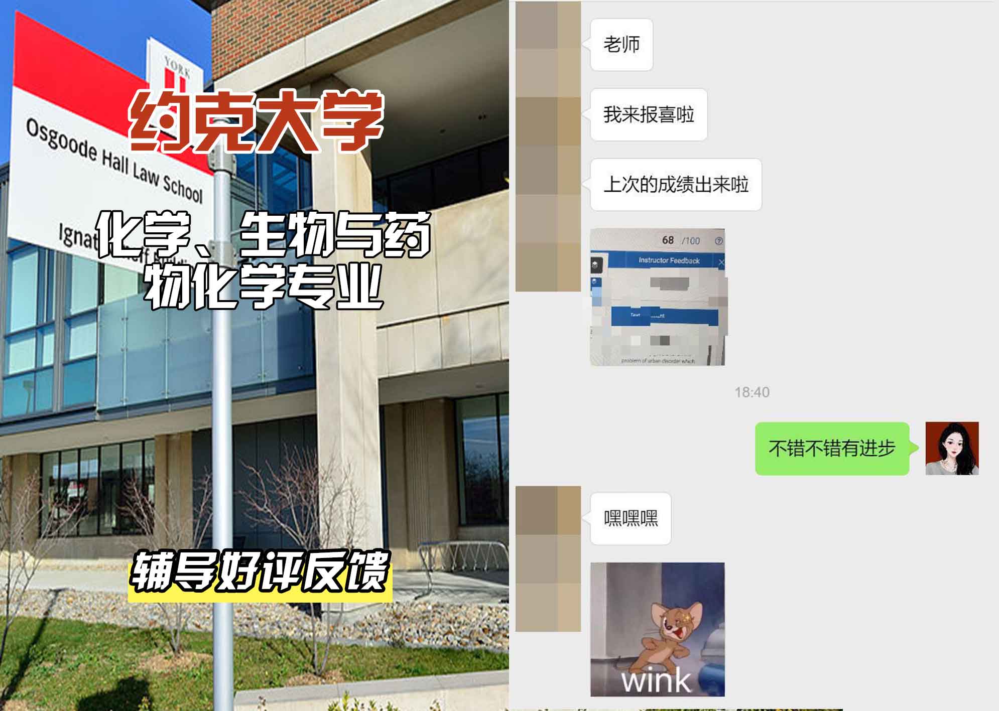 约克大学UOY化学、生物与药物化学辅导好评反馈