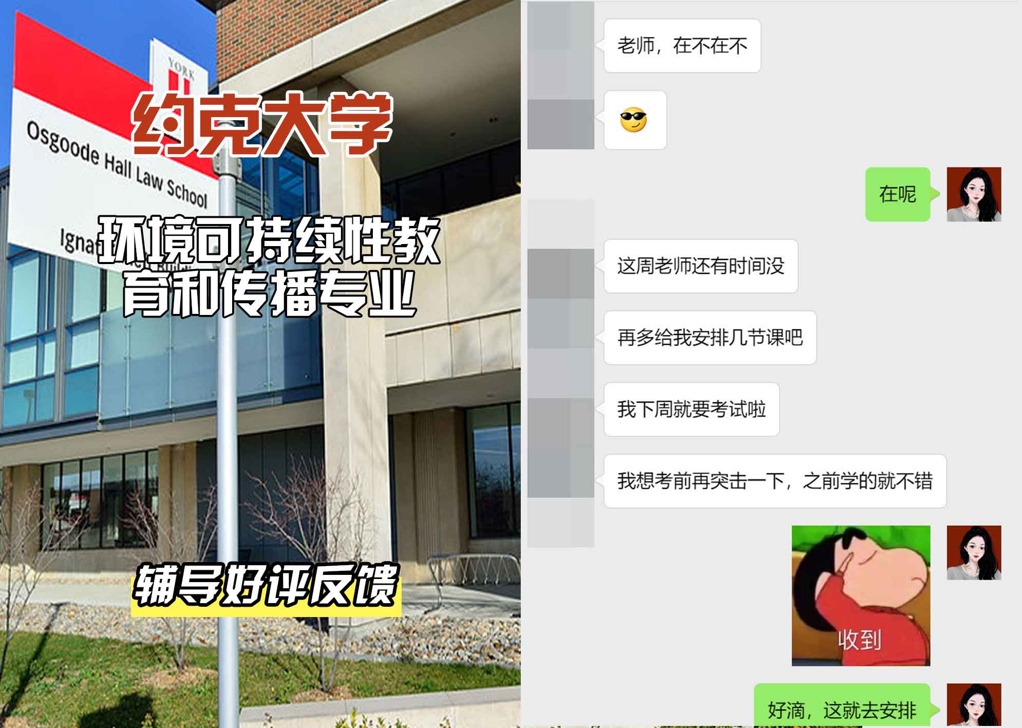 约克大学UOY环境可持续性教育和传播辅导好评反馈