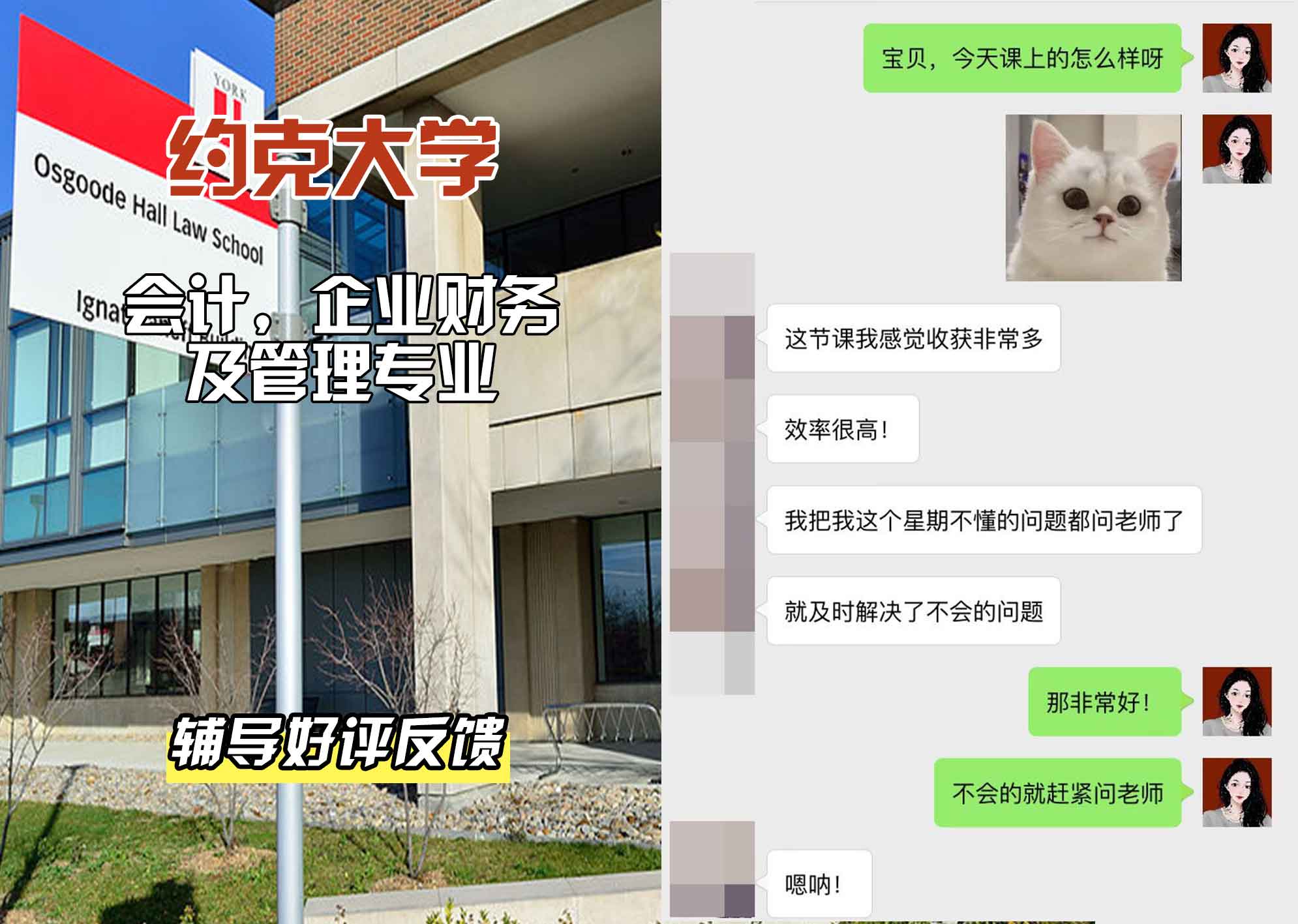 约克大学UOY会计，企业财务及管理辅导好评反馈