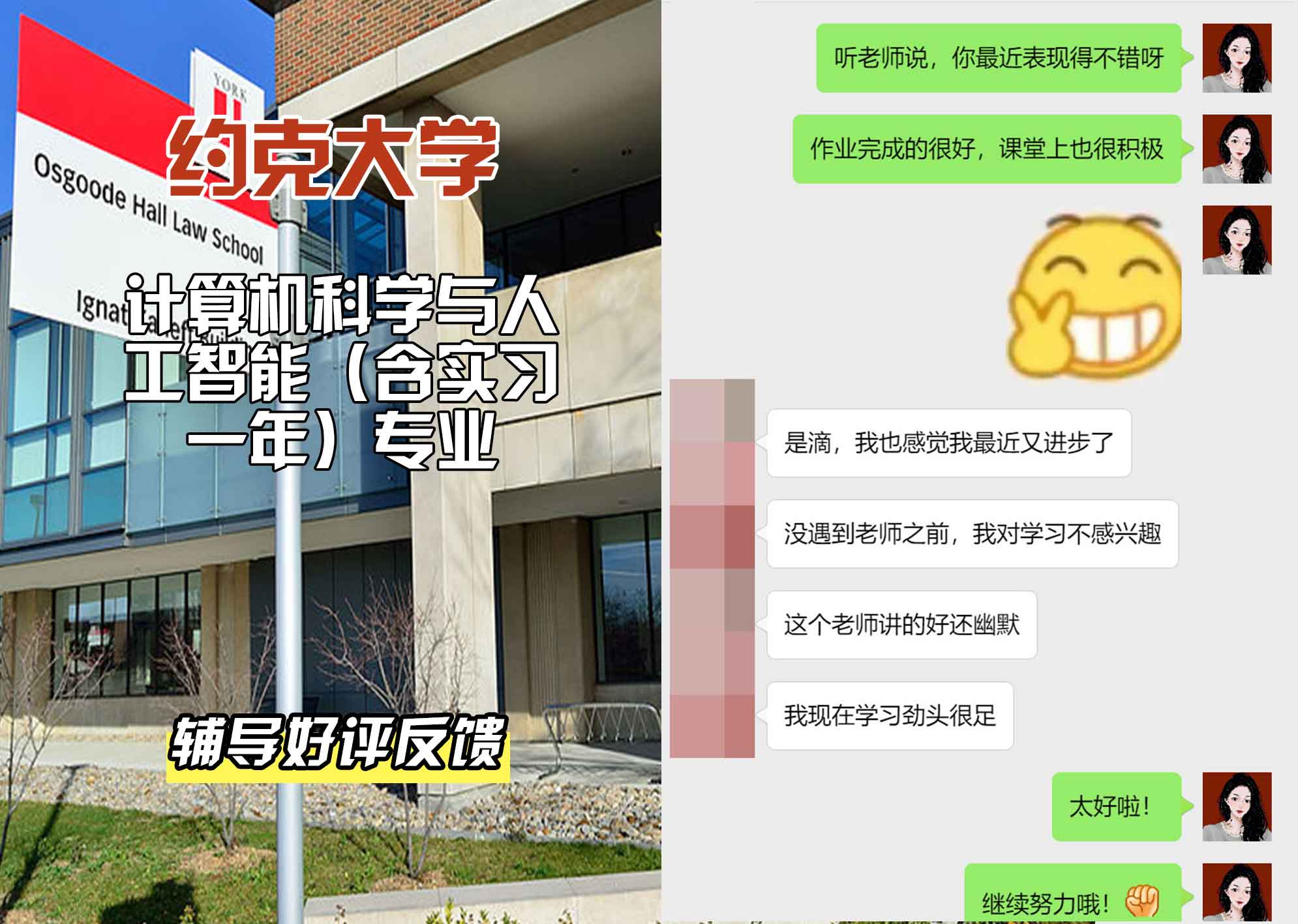 约克大学UOY计算机科学与人工智能（含实习一年）辅导好评反馈