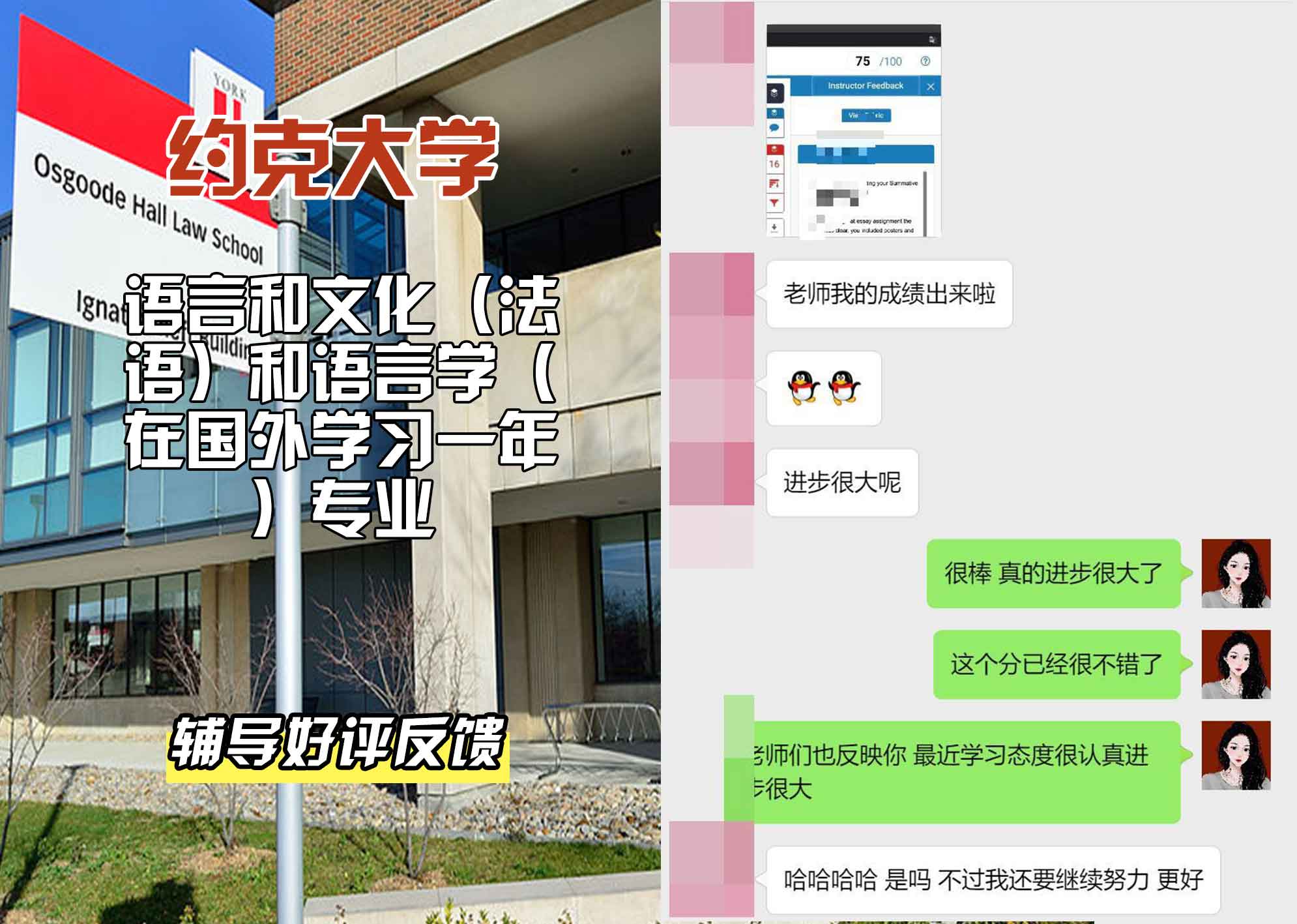 约克大学UOY语言和文化（法语）和语言学（在国外学习一年）辅导好评反馈