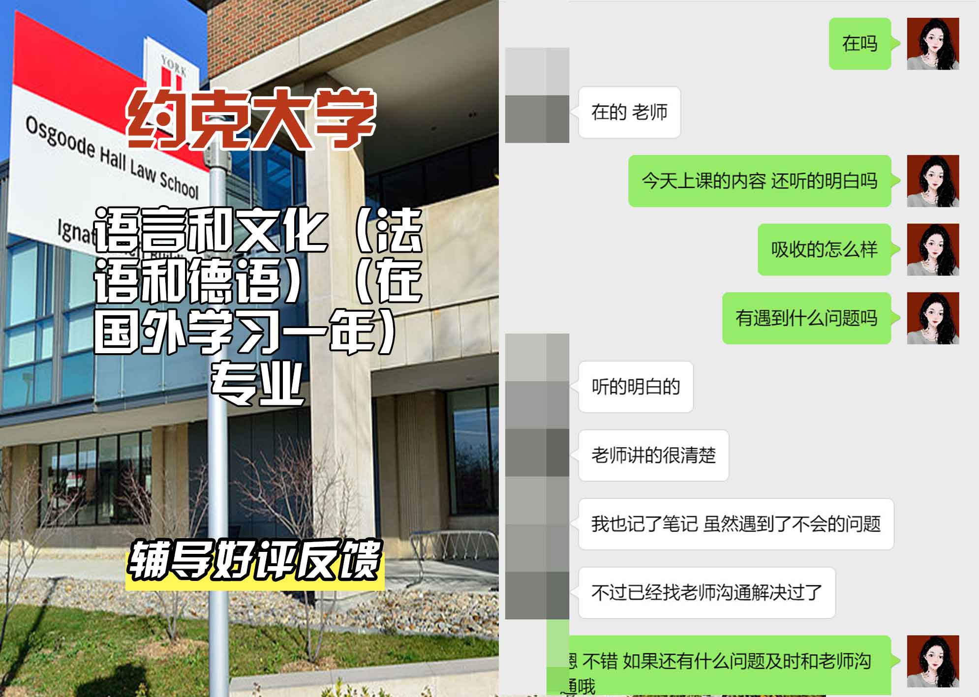 约克大学UOY语言和文化（法语和德语）（在国外学习一年）辅导好评反馈