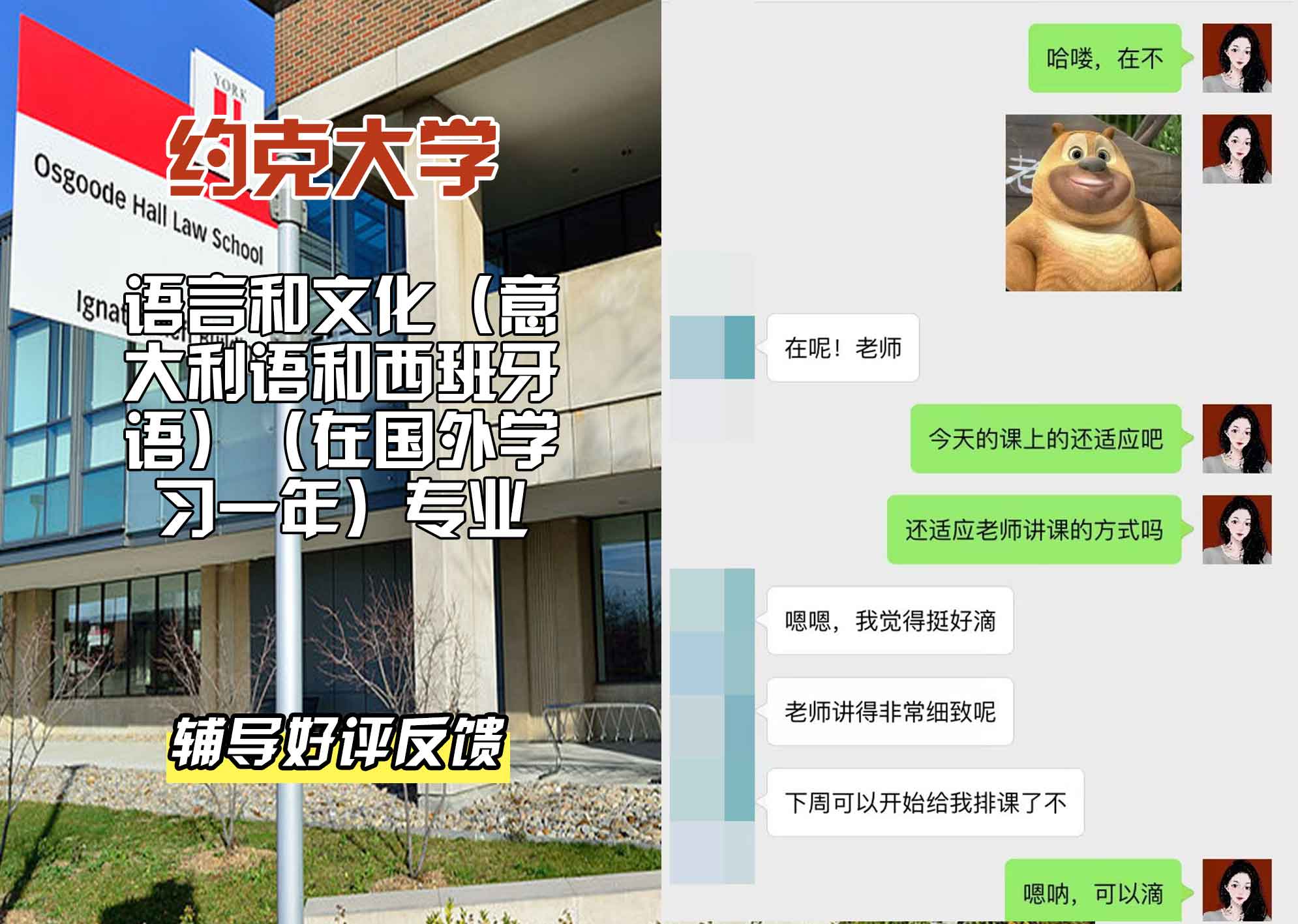 约克大学UOY语言和文化（意大利语和西班牙语）（在国外学习一年）辅导好评反馈