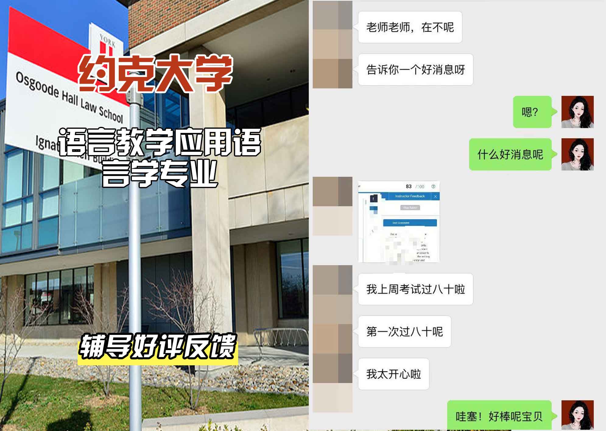 约克大学UOY语言教学应用语言学辅导好评反馈