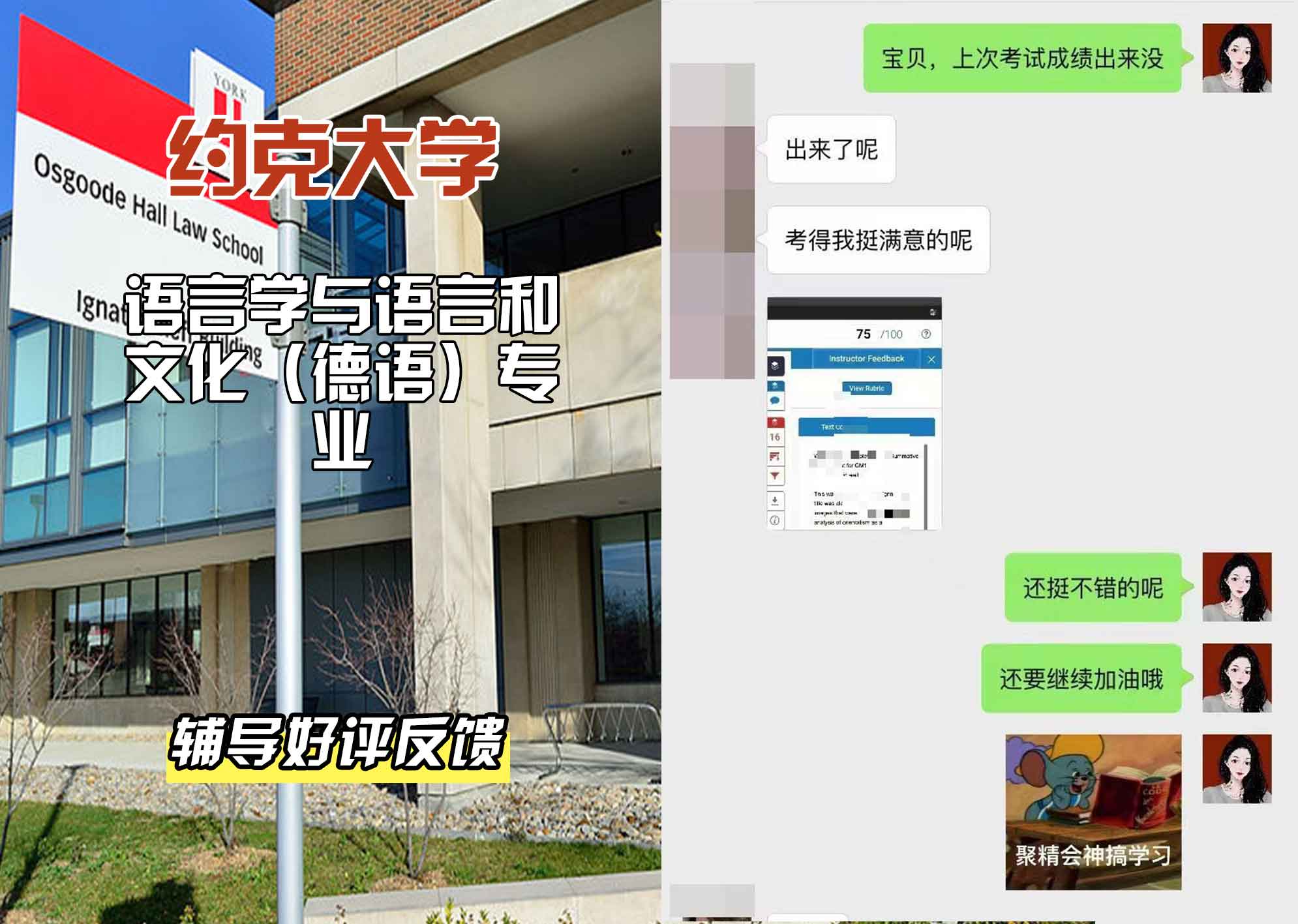 约克大学UOY语言学与语言和文化（德语）辅导好评反馈