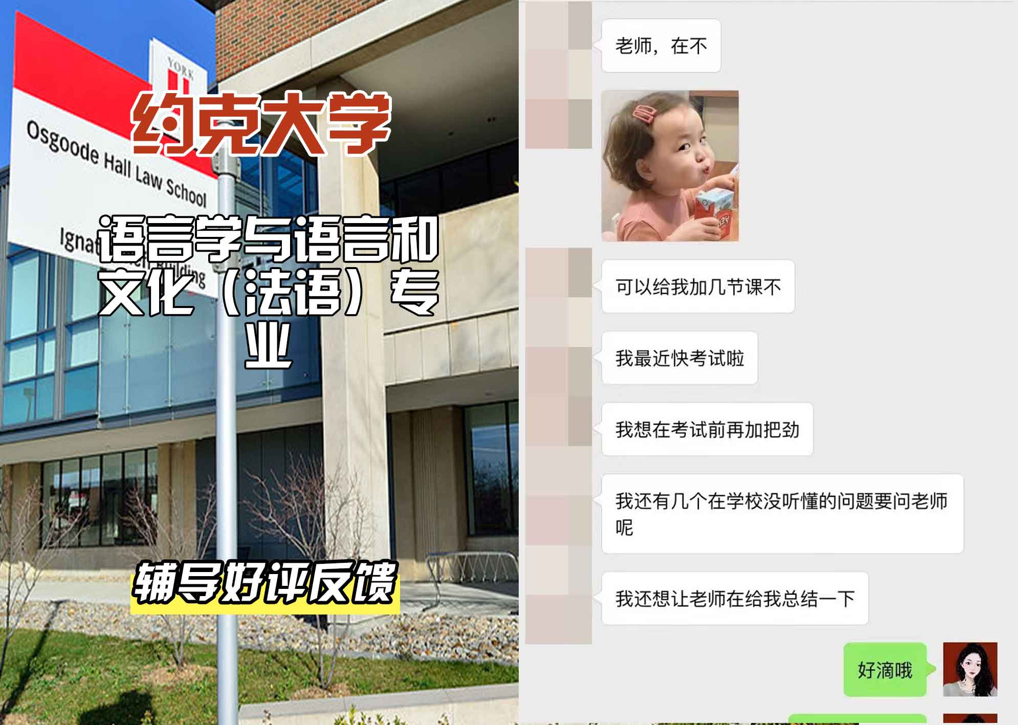 约克大学UOY语言学与语言和文化（法语）辅导好评反馈