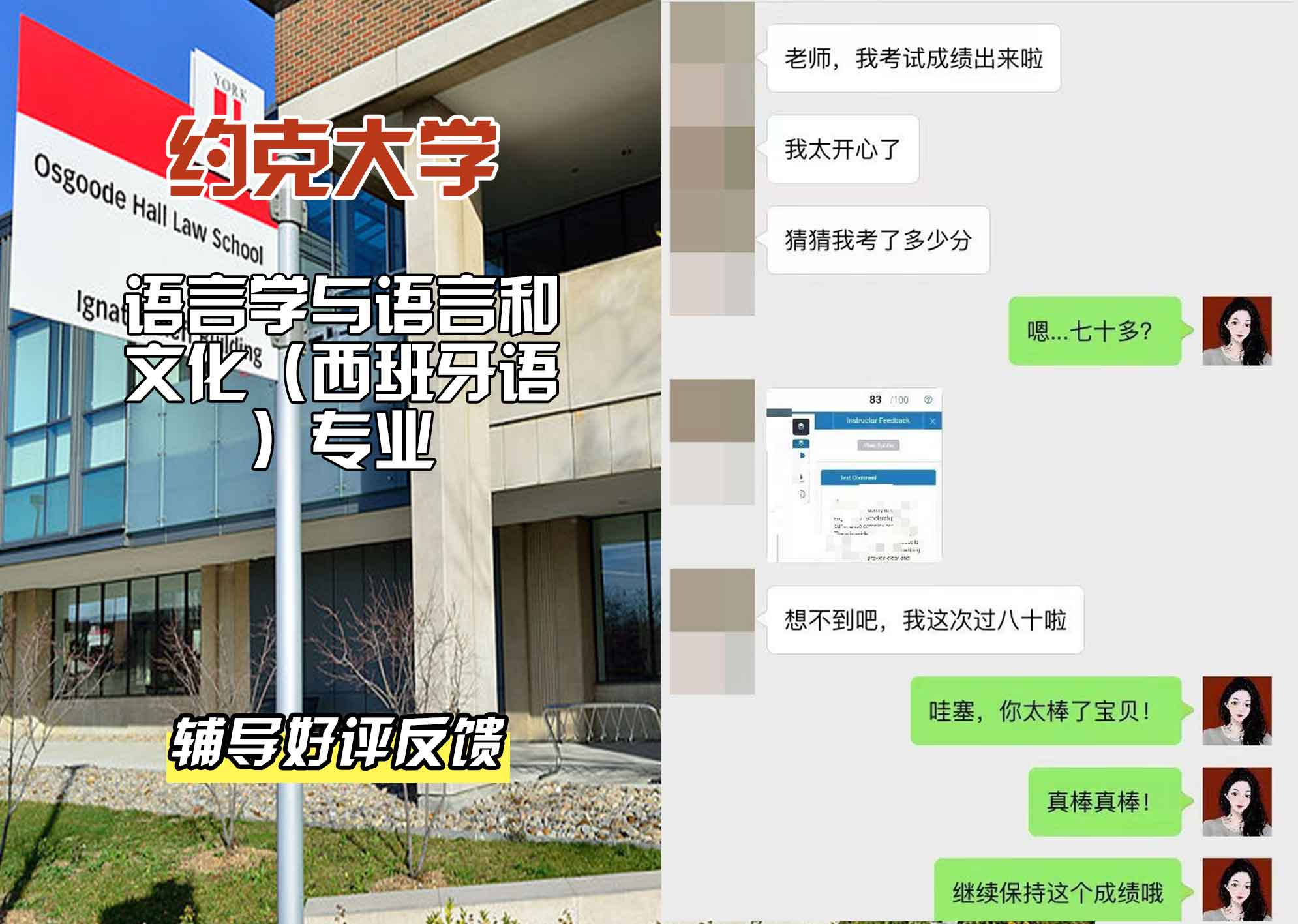 约克大学UOY语言学与语言和文化（西班牙语）辅导好评反馈