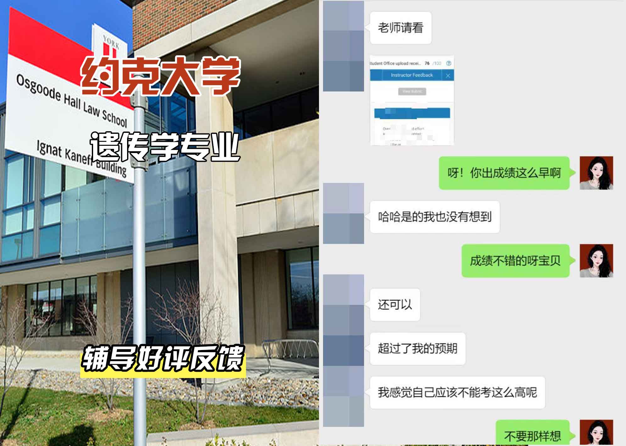 约克大学UOY遗传学辅导好评反馈