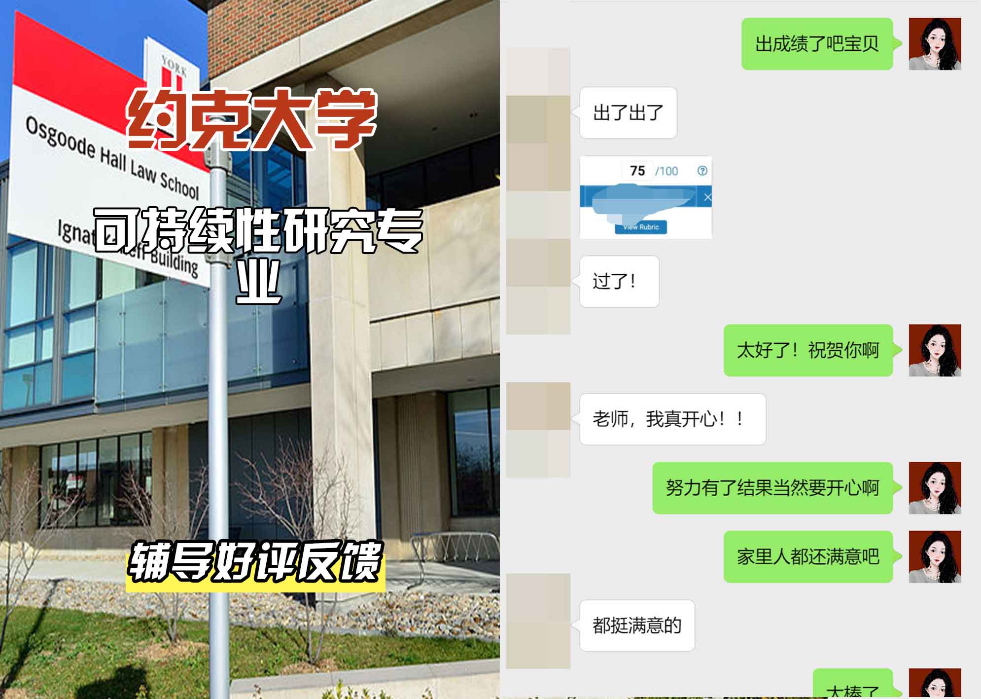 约克大学UOY可持续性研究辅导好评反馈