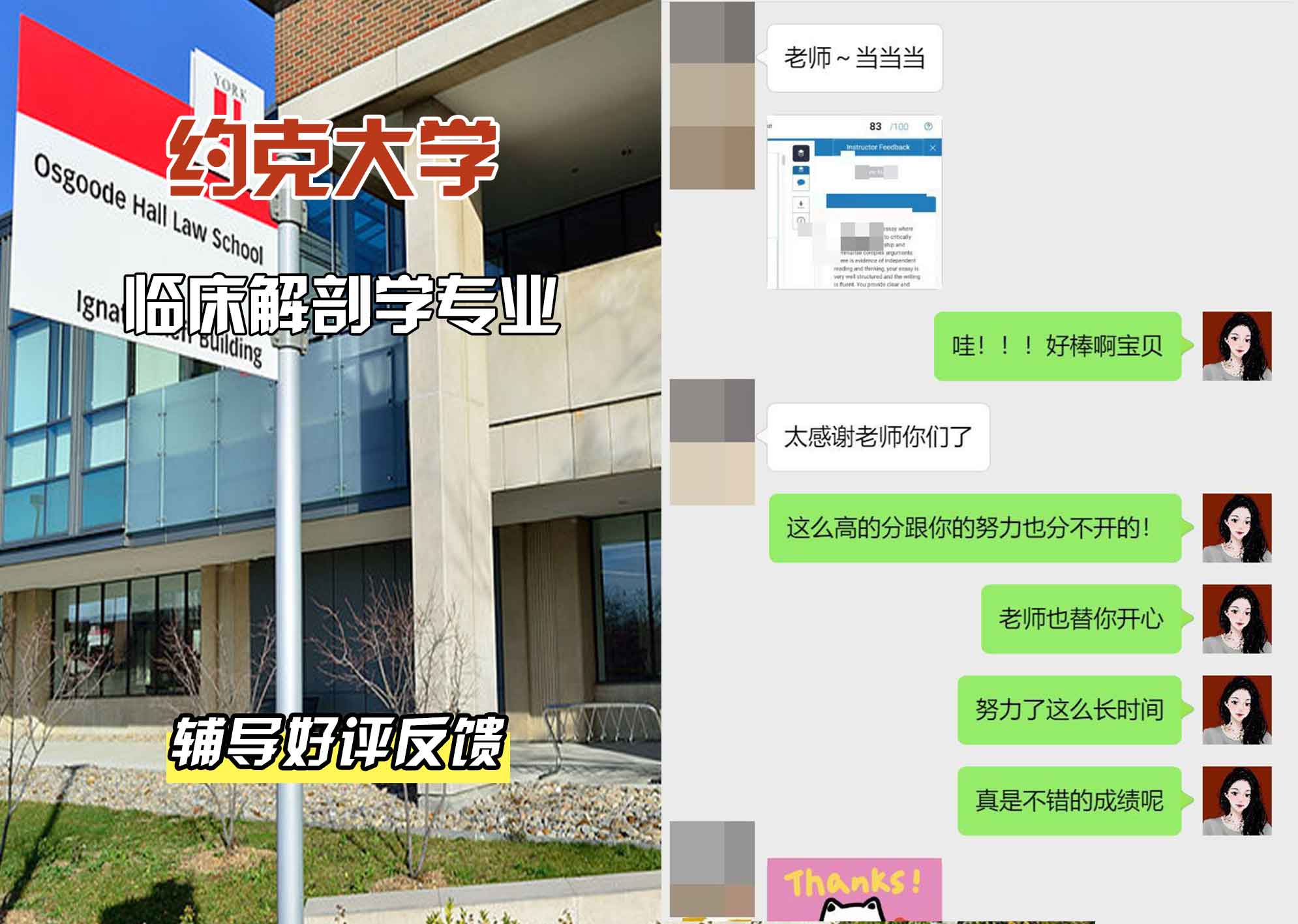 约克大学UOY临床解剖学辅导好评反馈