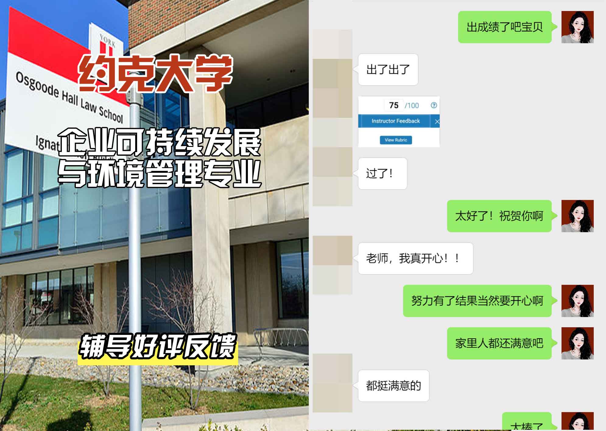 约克大学UOY企业可持续发展与环境管理辅导好评反馈