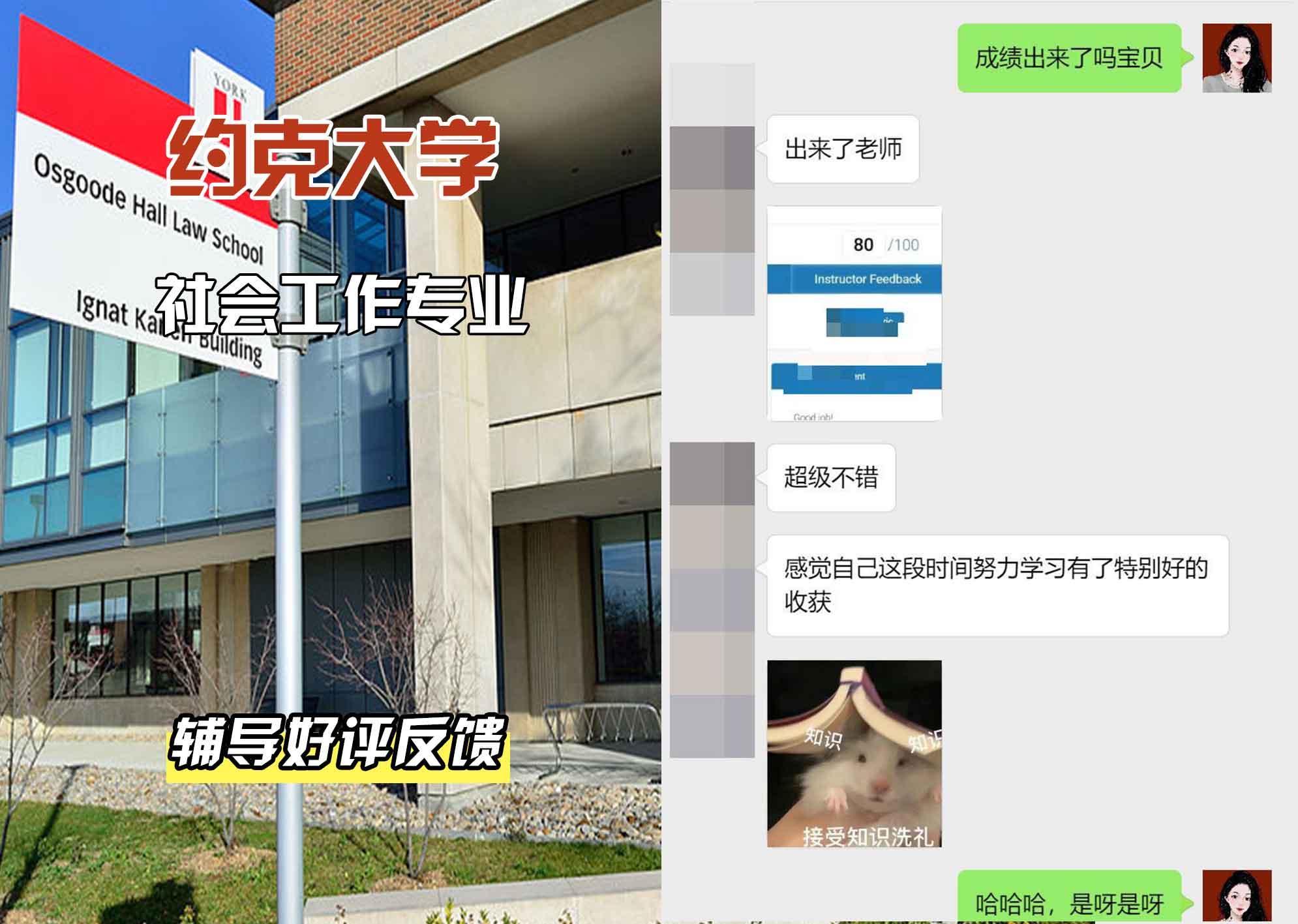 约克大学UOY社会工作辅导好评反馈