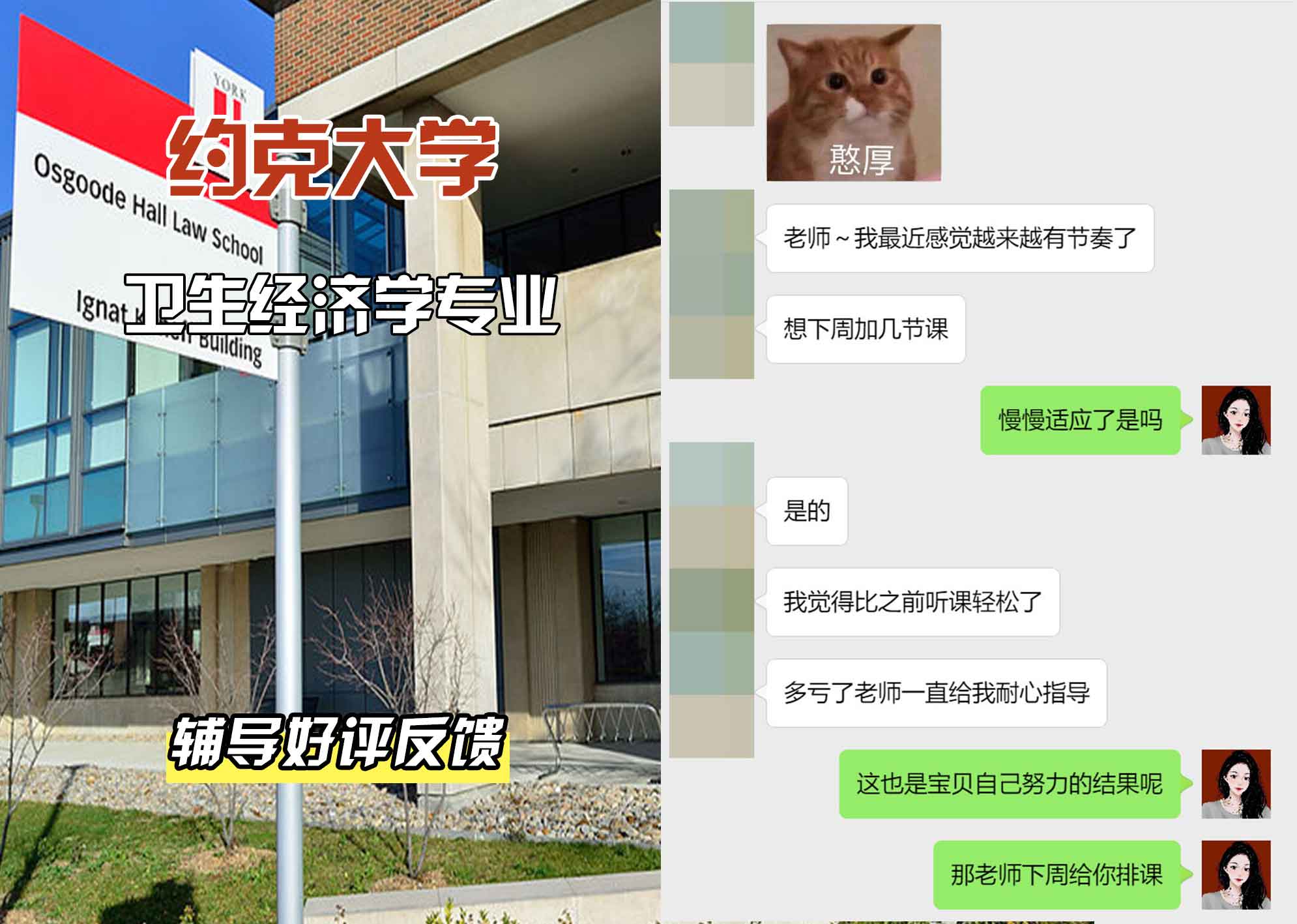 约克大学UOY卫生经济学辅导好评反馈