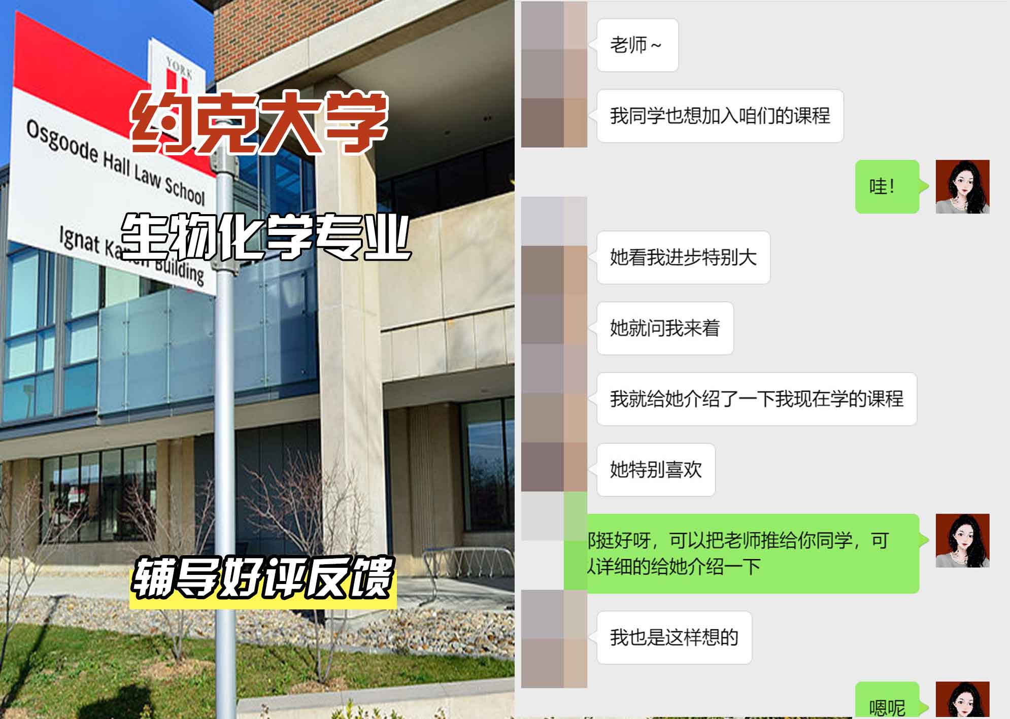 约克大学UOY生物化学辅导好评反馈