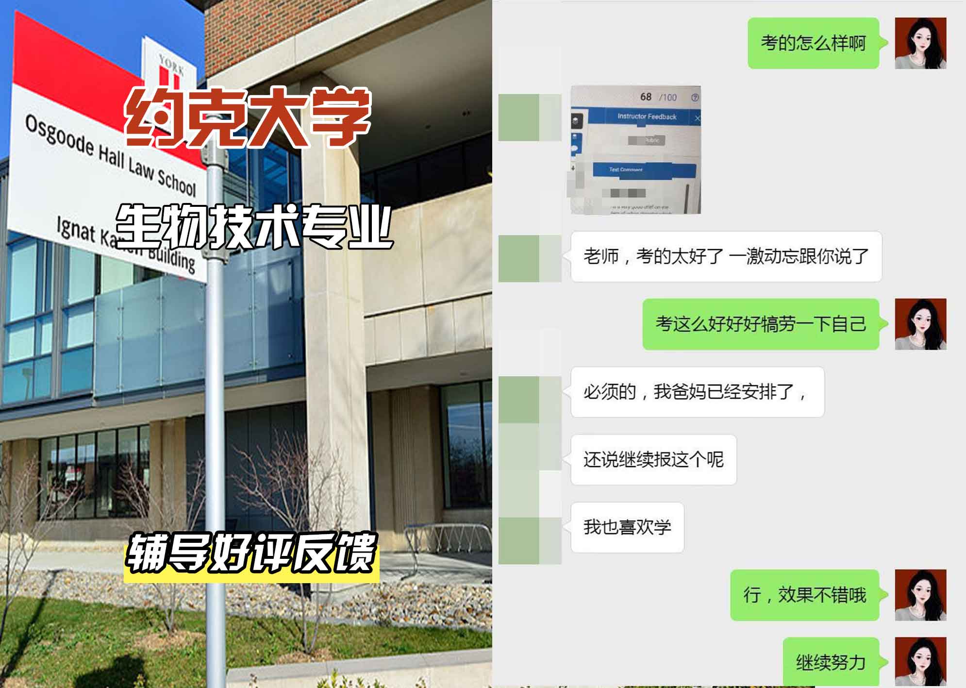 约克大学UOY生物技术辅导好评反馈