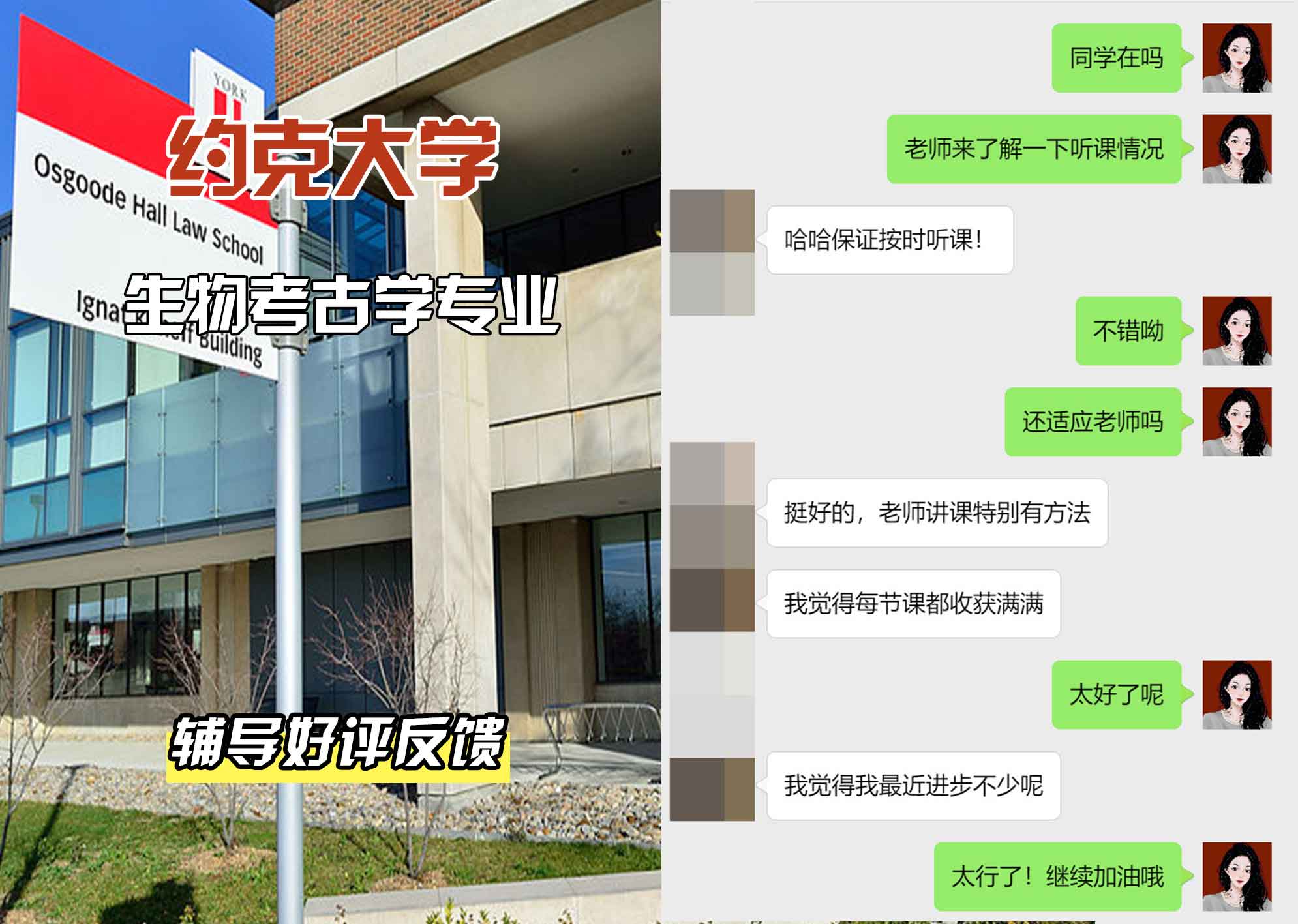 约克大学UOY生物考古学辅导好评反馈