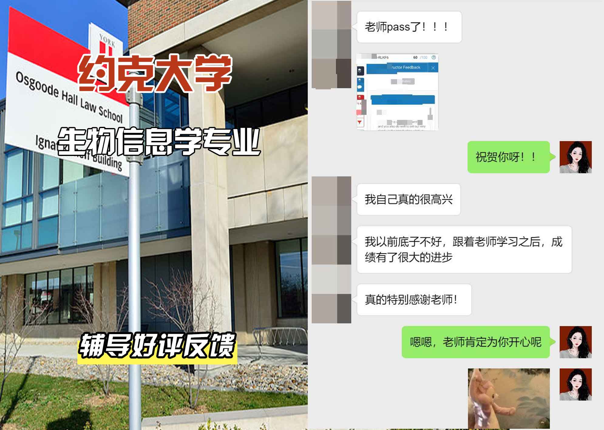 约克大学UOY生物信息学辅导好评反馈