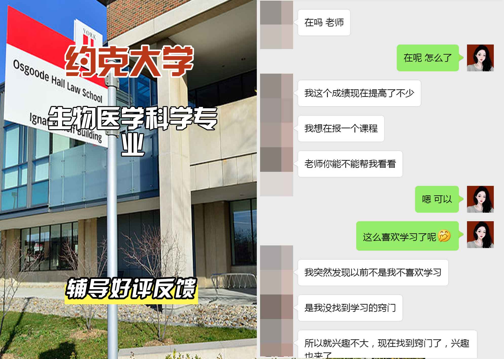 约克大学UOY生物医学科学辅导好评反馈