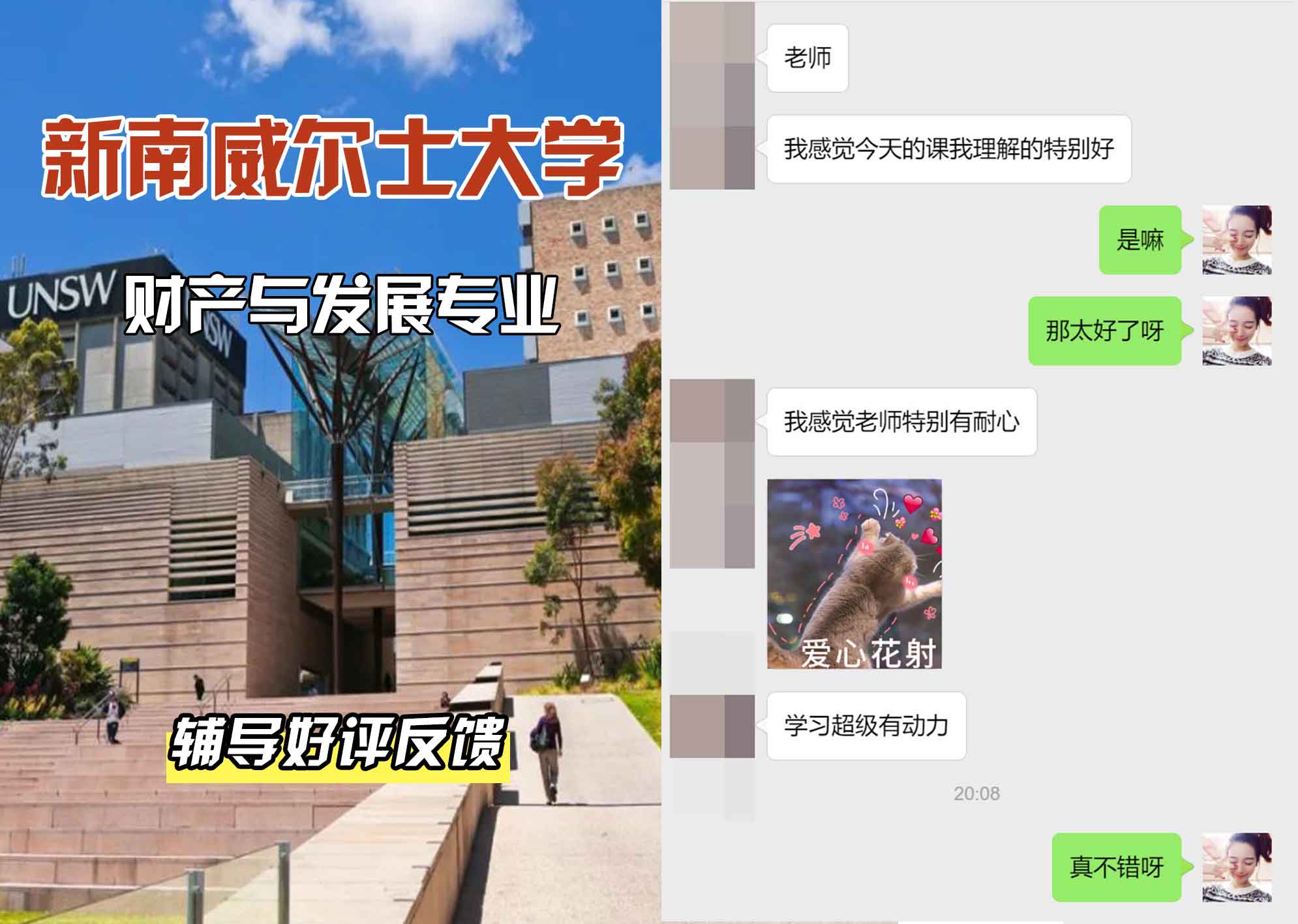 新南威尔士大学UNSW财产与发展辅导好评反馈